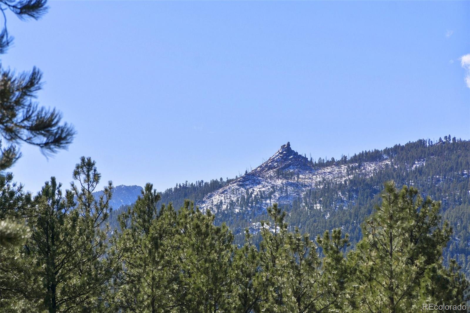 MLS Image #35 for 29054  mangy moose trail,pine, Colorado