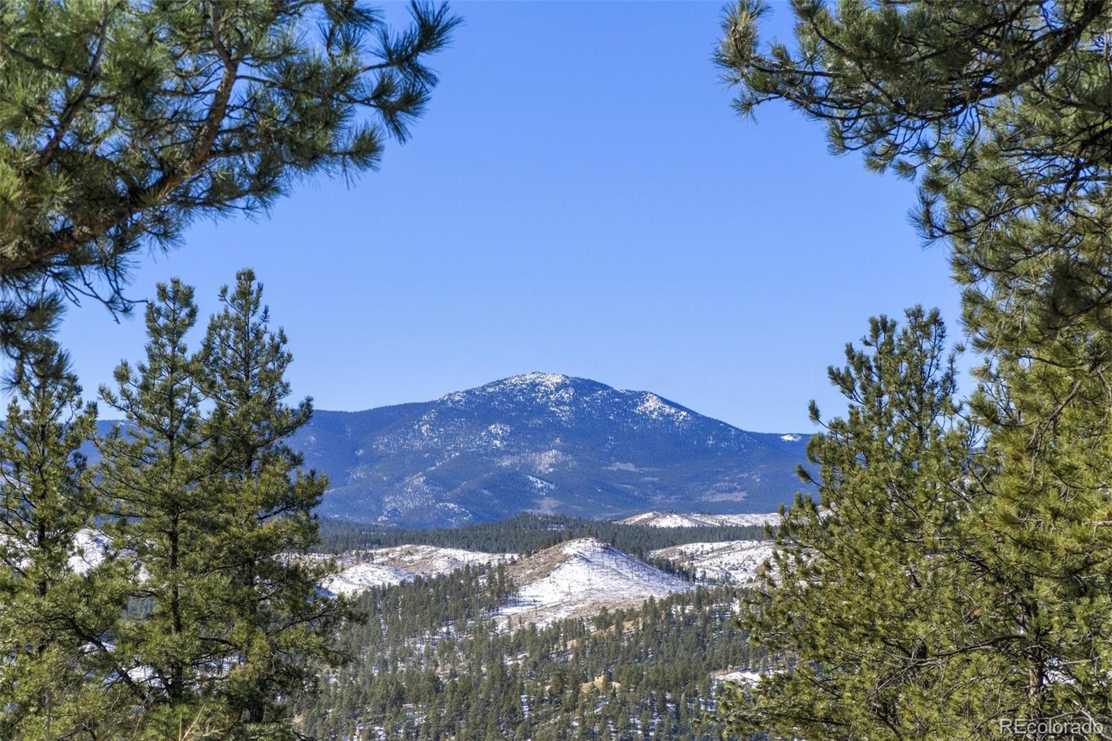 MLS Image #36 for 29054  mangy moose trail,pine, Colorado