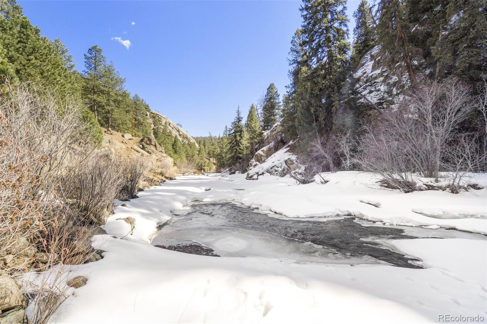 MLS Image #38 for 29054  mangy moose trail,pine, Colorado