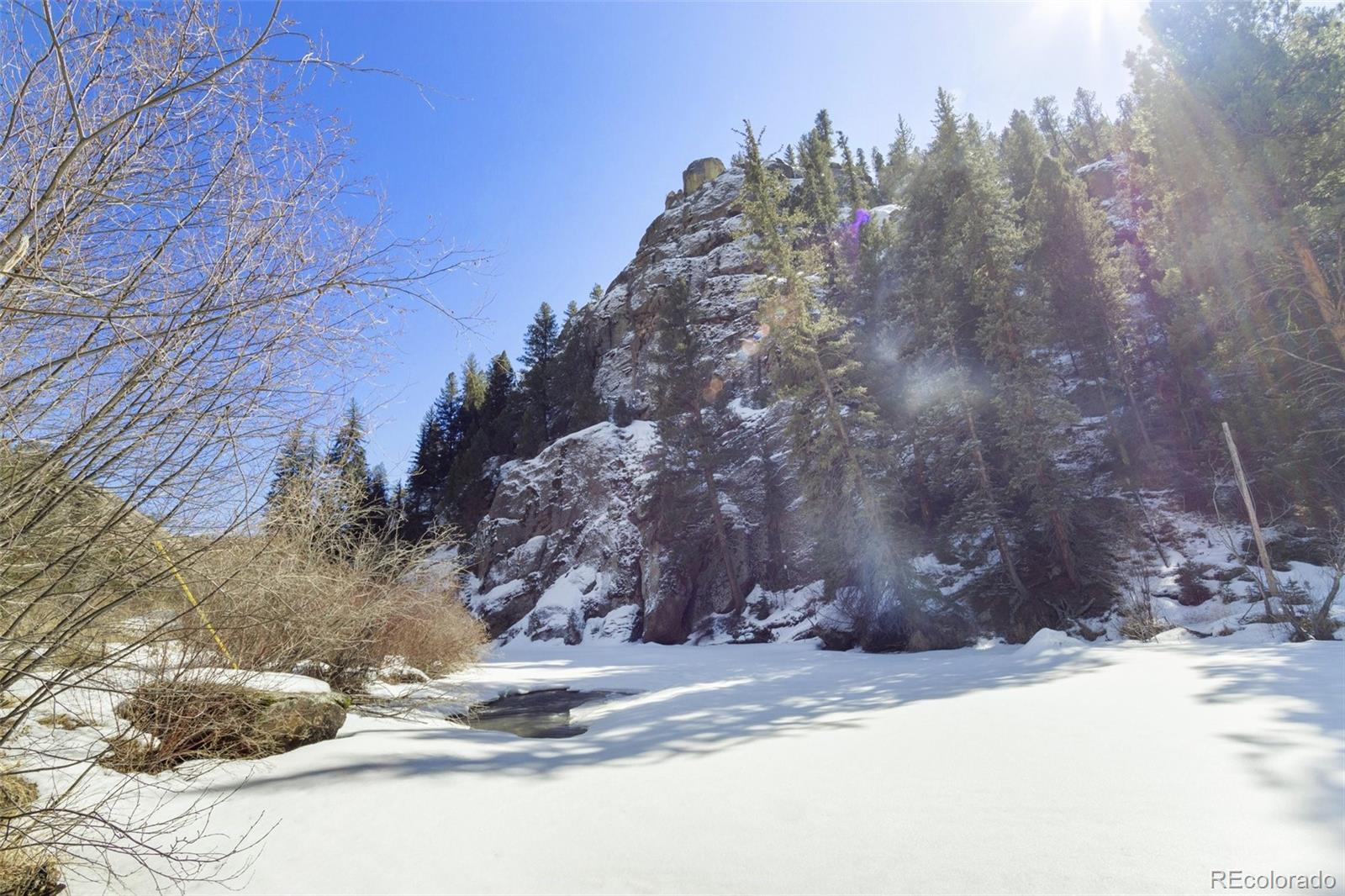MLS Image #39 for 29054  mangy moose trail,pine, Colorado