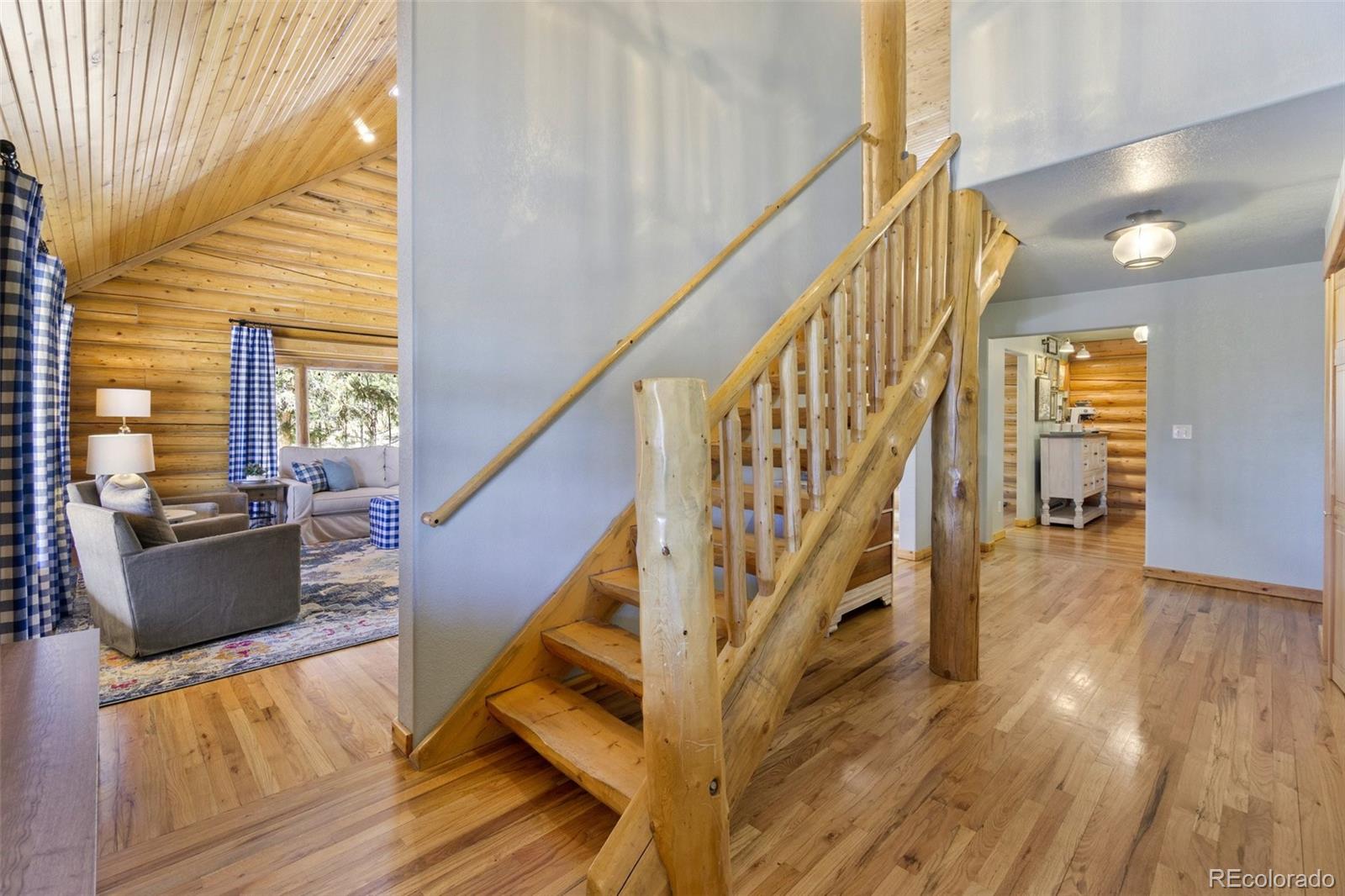 MLS Image #5 for 29054  mangy moose trail,pine, Colorado