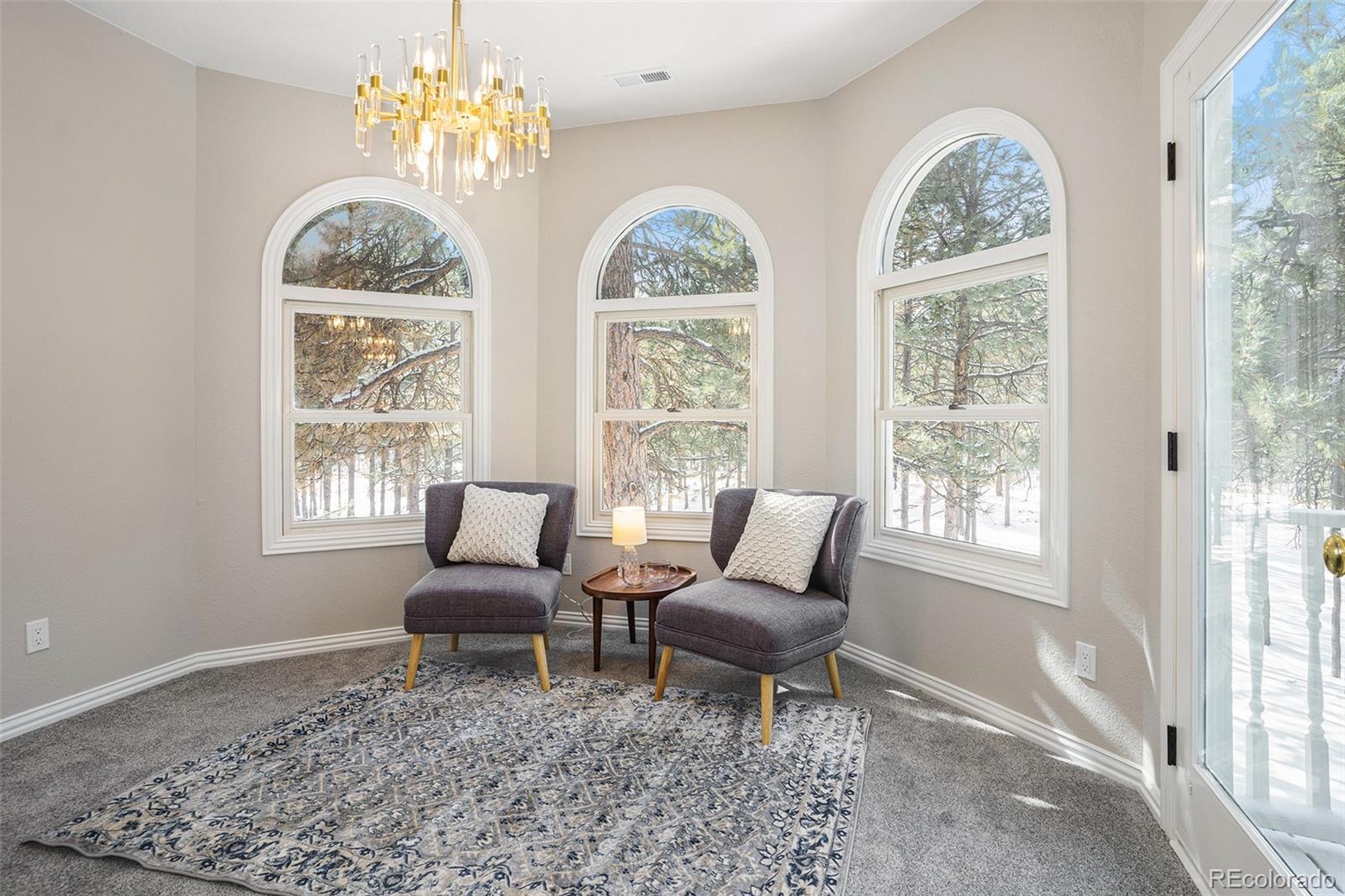MLS Image #24 for 17695  roller coaster road,monument, Colorado