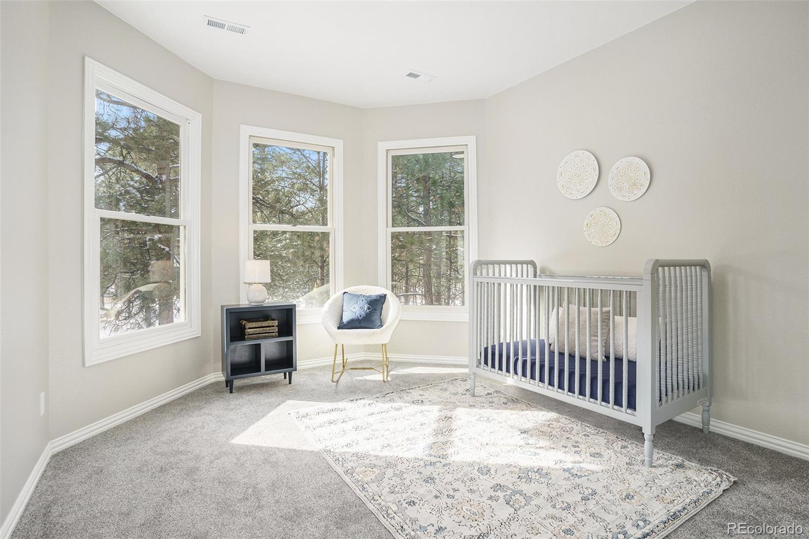 MLS Image #32 for 17695  roller coaster road,monument, Colorado