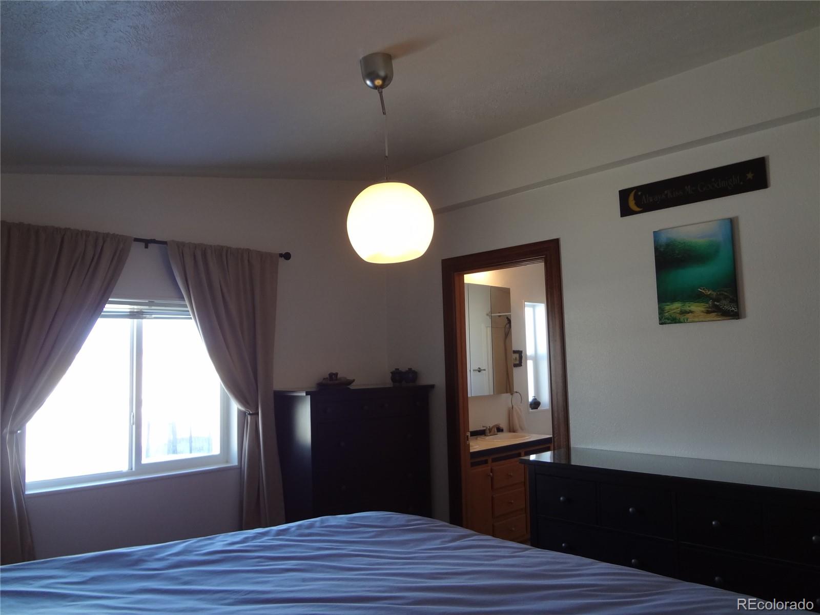 MLS Image #13 for 872  trout creek drive,fairplay, Colorado