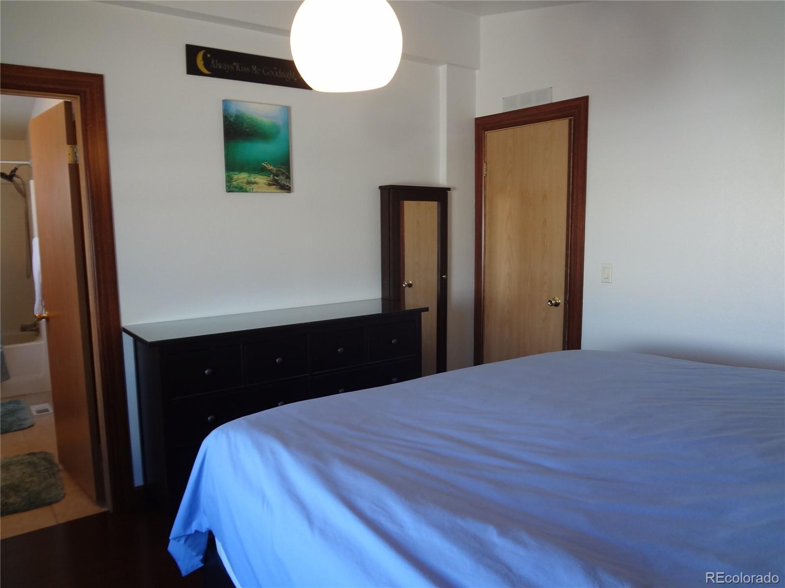 MLS Image #16 for 872  trout creek drive,fairplay, Colorado