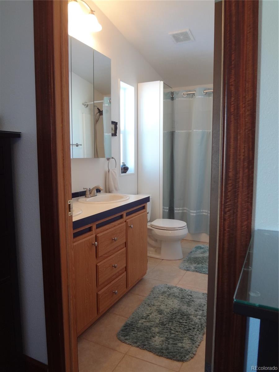 MLS Image #22 for 872  trout creek drive,fairplay, Colorado