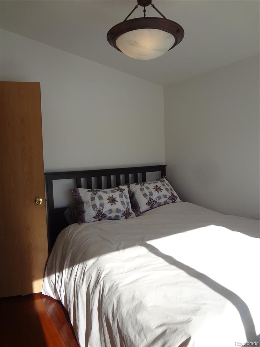 MLS Image #23 for 872  trout creek drive,fairplay, Colorado