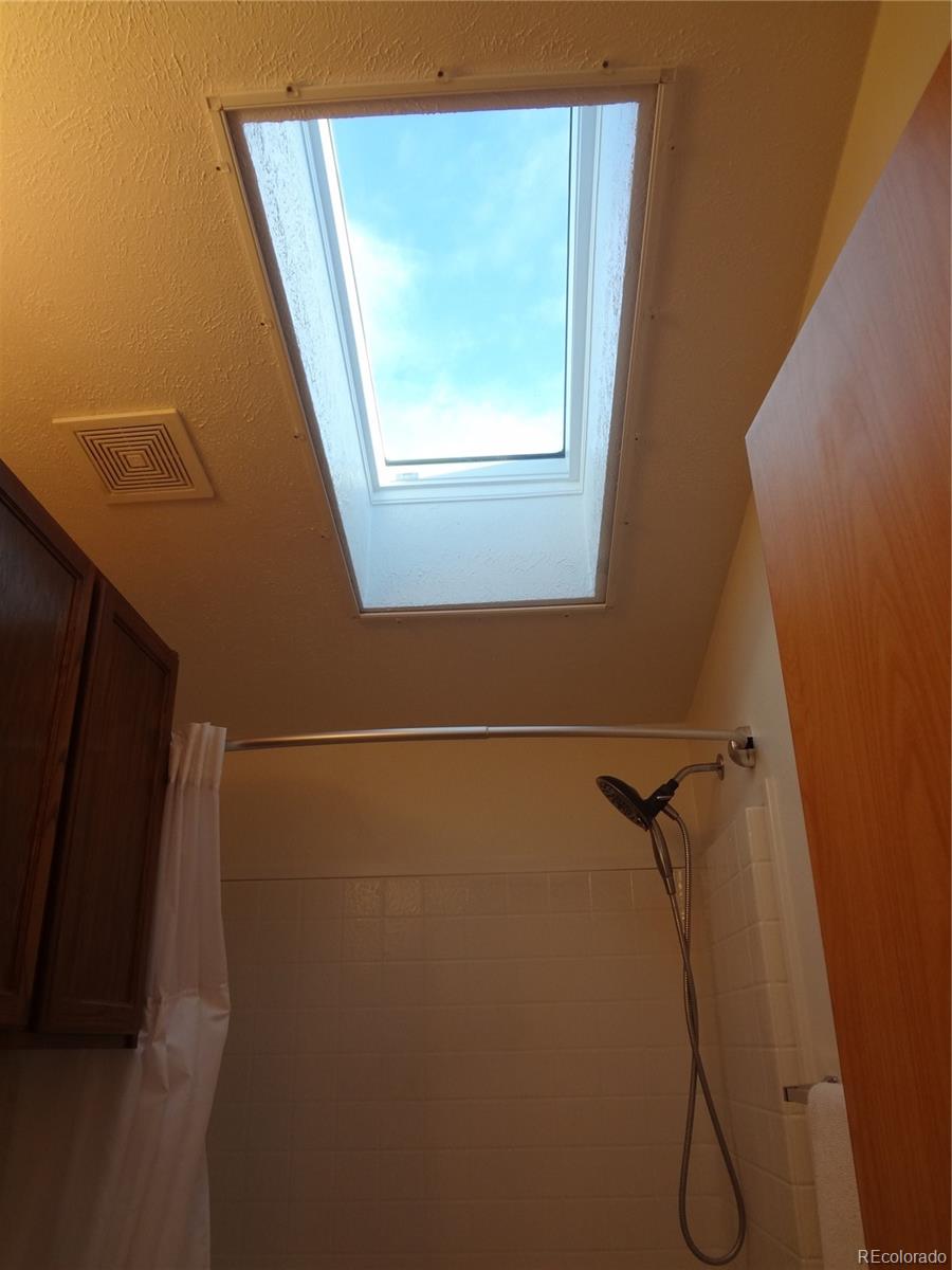 MLS Image #29 for 872  trout creek drive,fairplay, Colorado