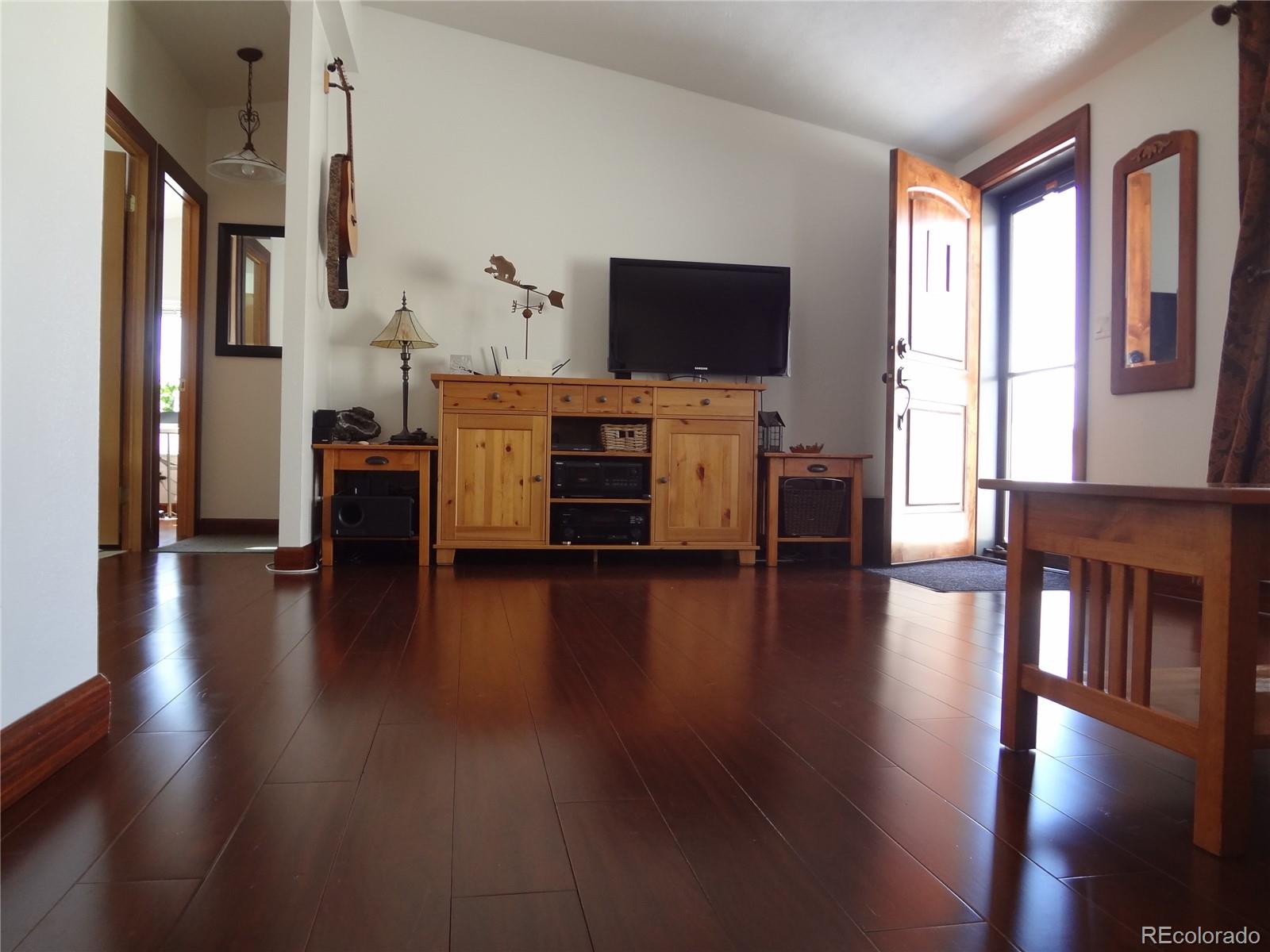 MLS Image #5 for 872  trout creek drive,fairplay, Colorado