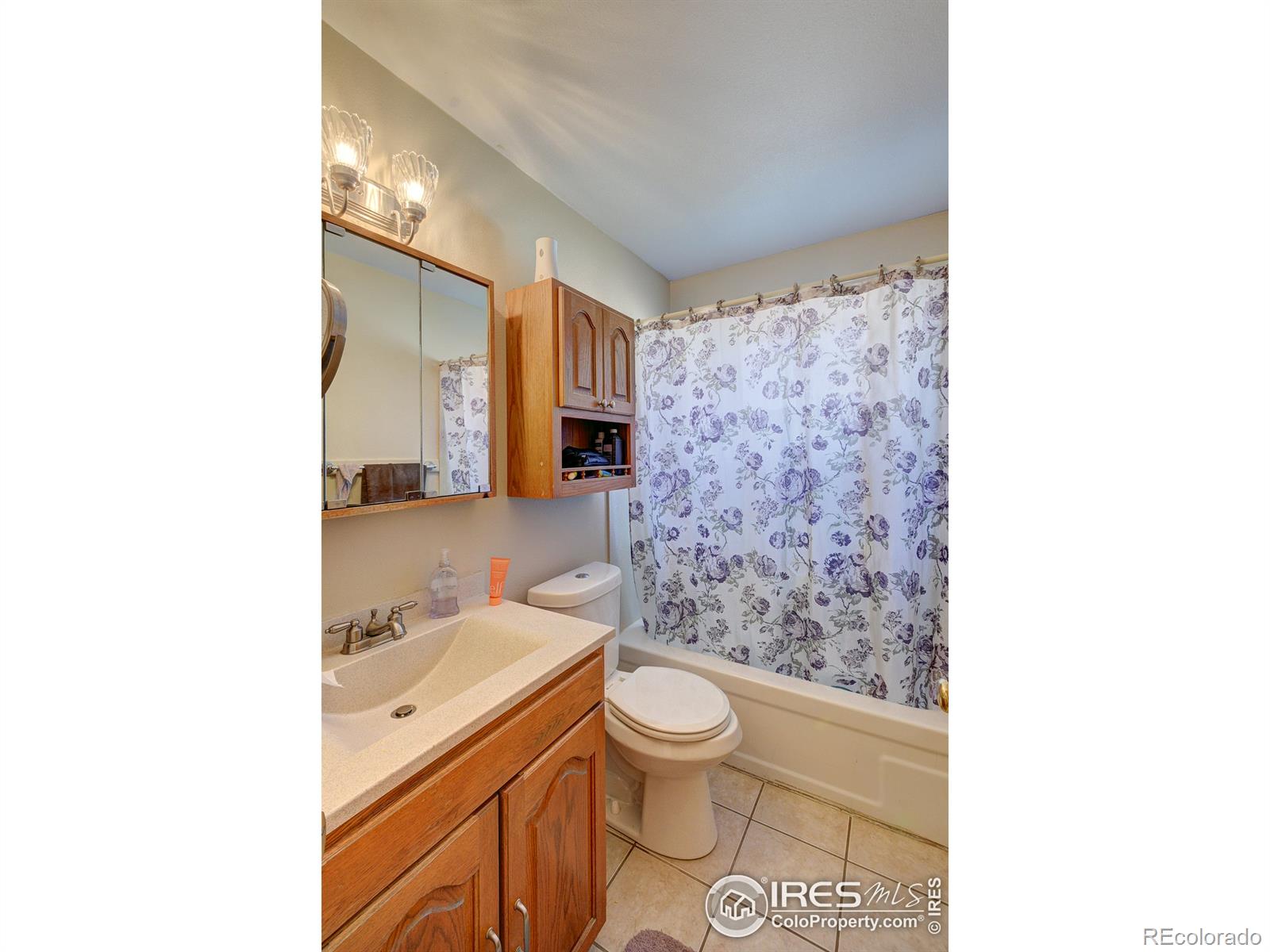 MLS Image #10 for 420  spruce avenue,eaton, Colorado