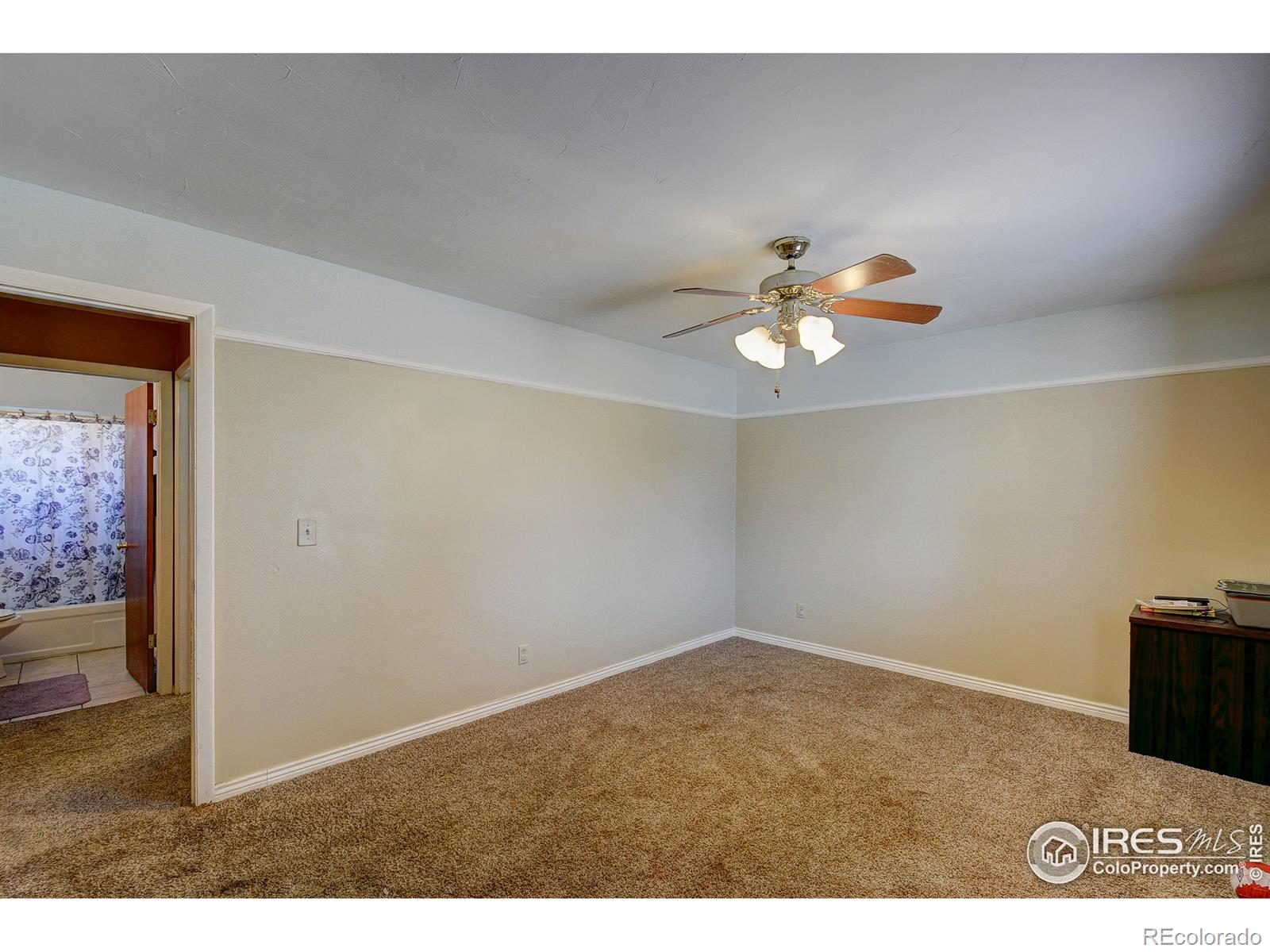 MLS Image #13 for 420  spruce avenue,eaton, Colorado
