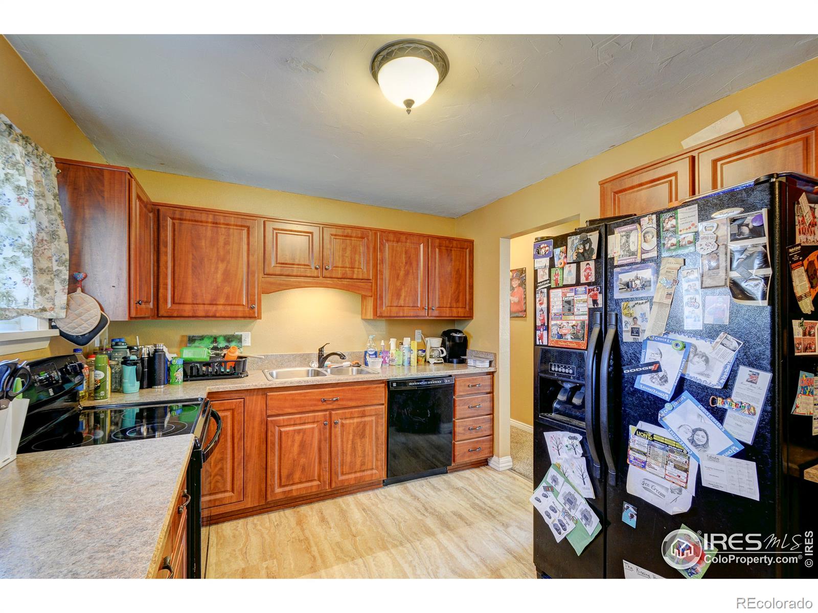 MLS Image #5 for 420  spruce avenue,eaton, Colorado