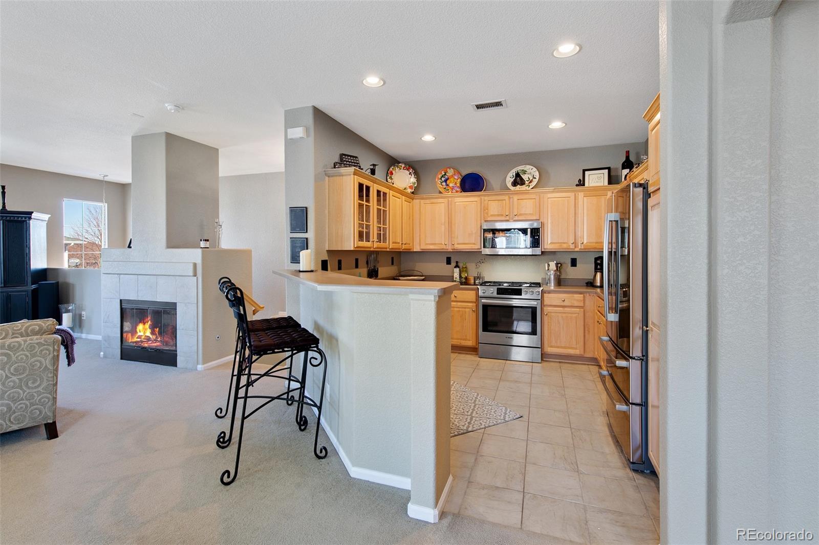 MLS Image #13 for 146  whitehaven circle,highlands ranch, Colorado