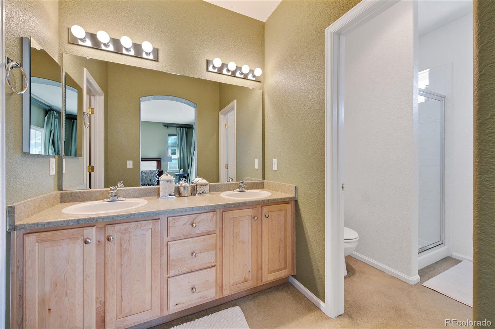 MLS Image #19 for 146  whitehaven circle,highlands ranch, Colorado