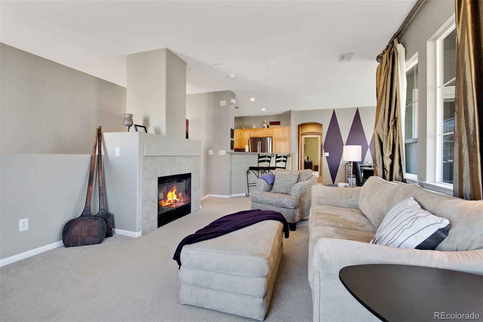 MLS Image #3 for 146  whitehaven circle,highlands ranch, Colorado