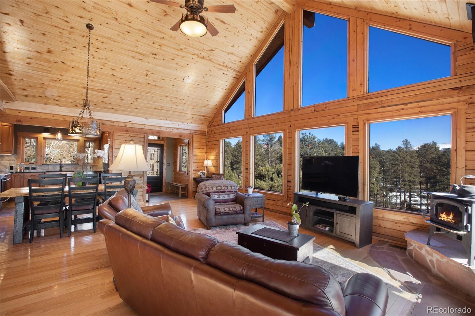 MLS Image #10 for 33  druid trail,florissant, Colorado