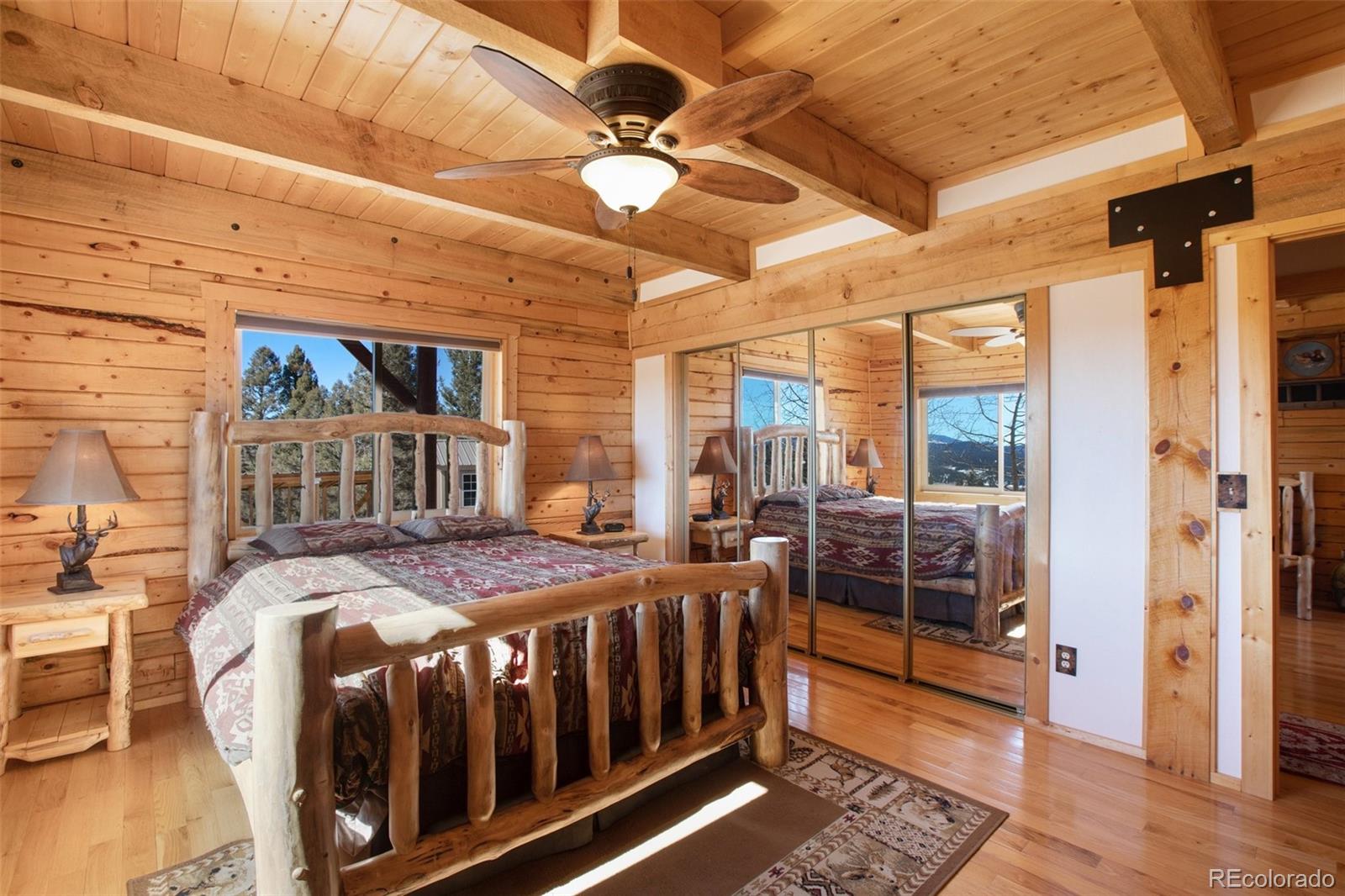 MLS Image #23 for 33  druid trail,florissant, Colorado