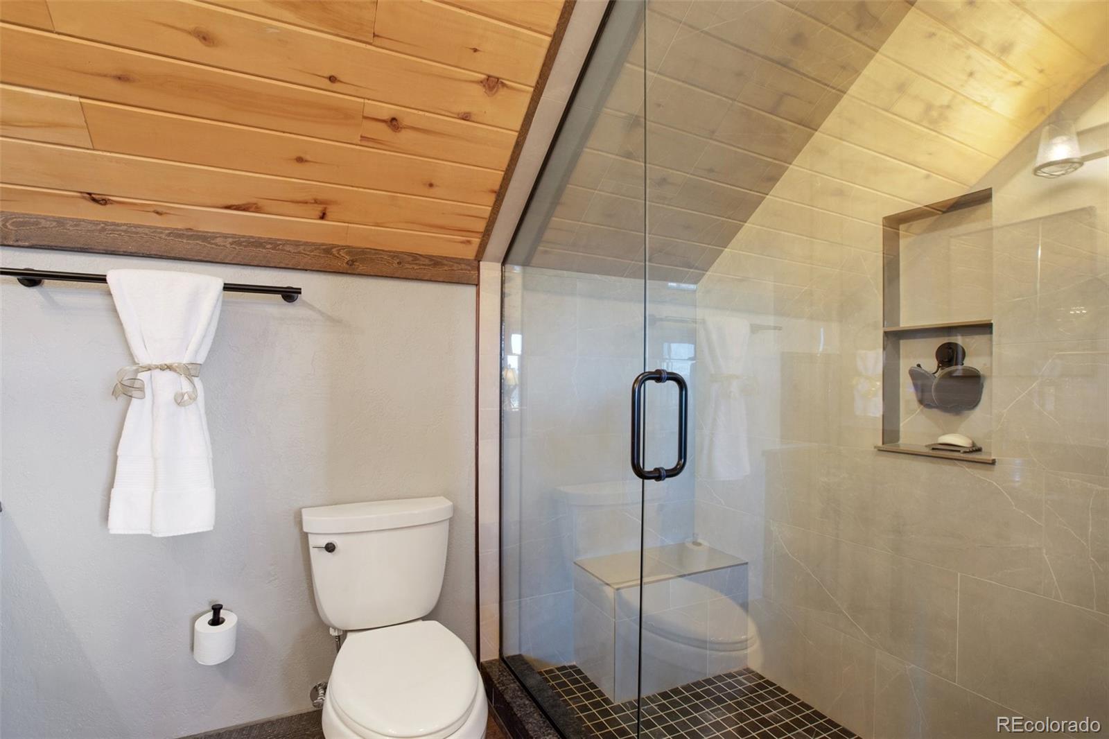 MLS Image #31 for 33  druid trail,florissant, Colorado