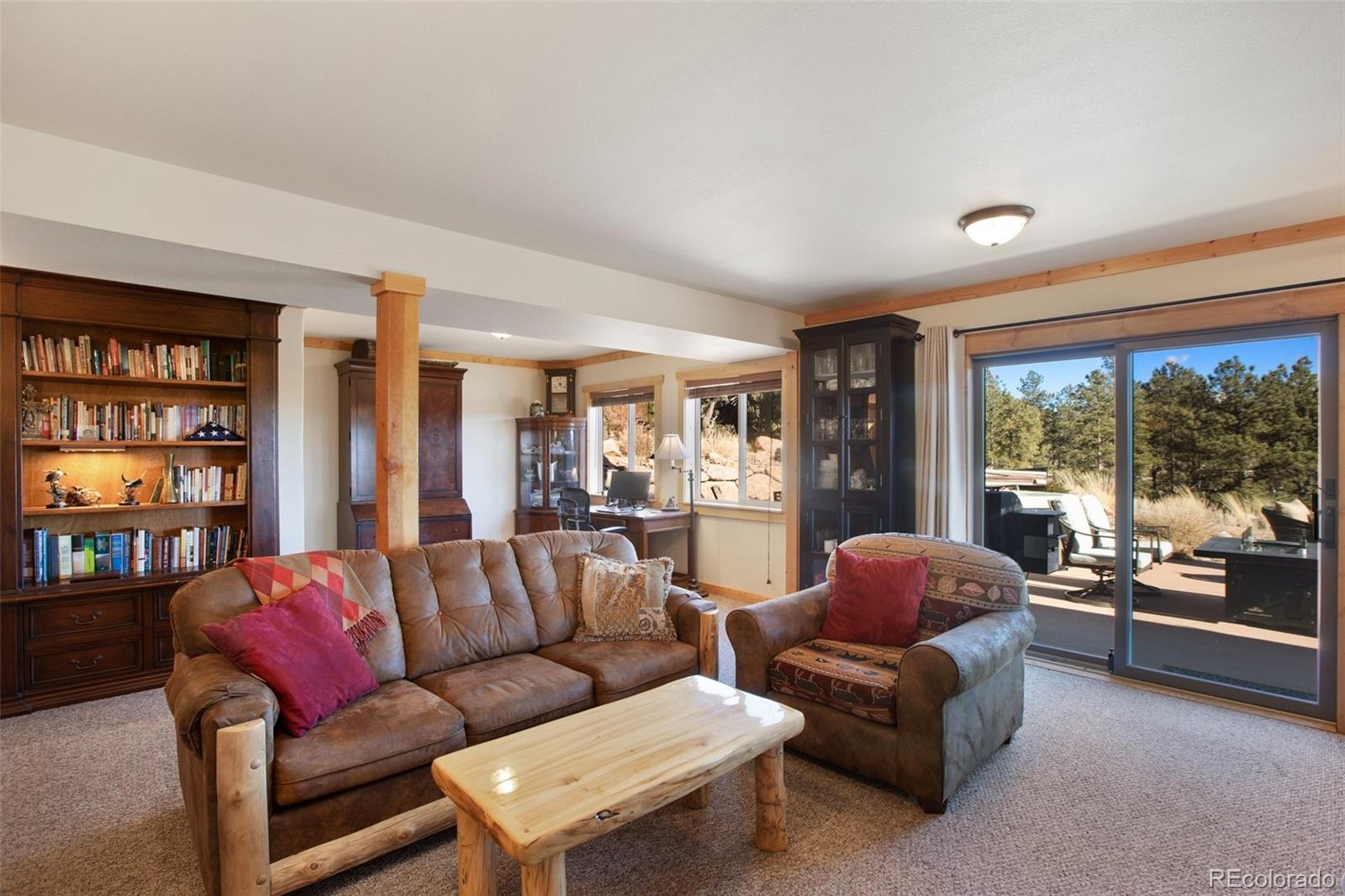 MLS Image #33 for 33  druid trail,florissant, Colorado
