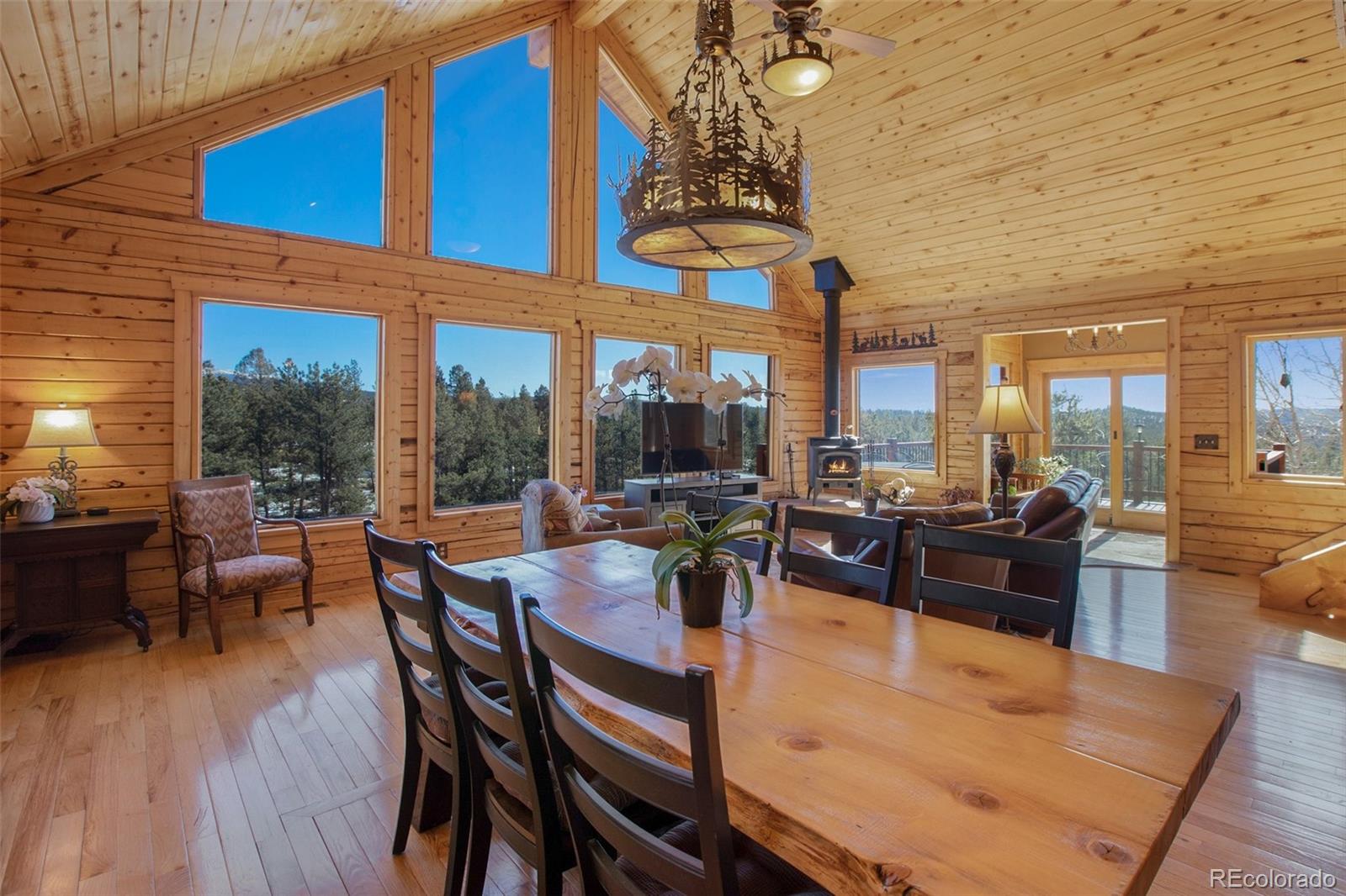 MLS Image #9 for 33  druid trail,florissant, Colorado