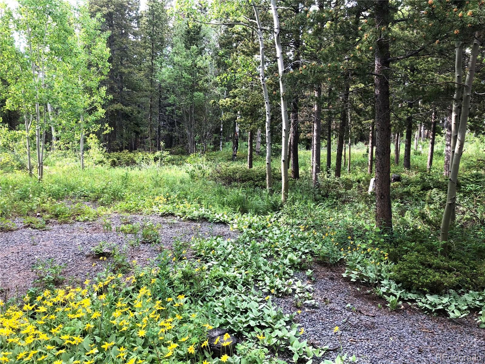 MLS Image #30 for 886  karlann drive,black hawk, Colorado