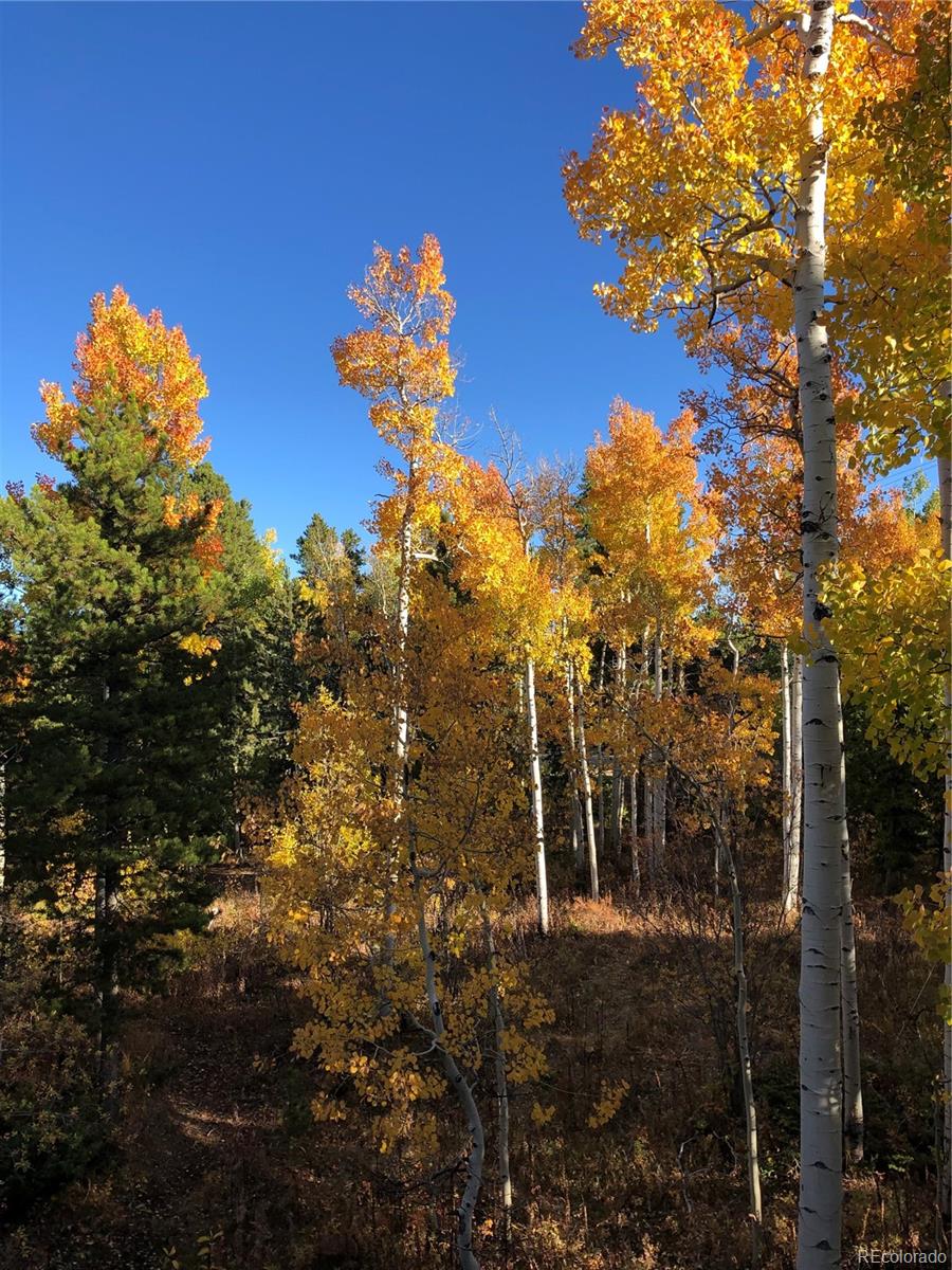 MLS Image #34 for 886  karlann drive,black hawk, Colorado