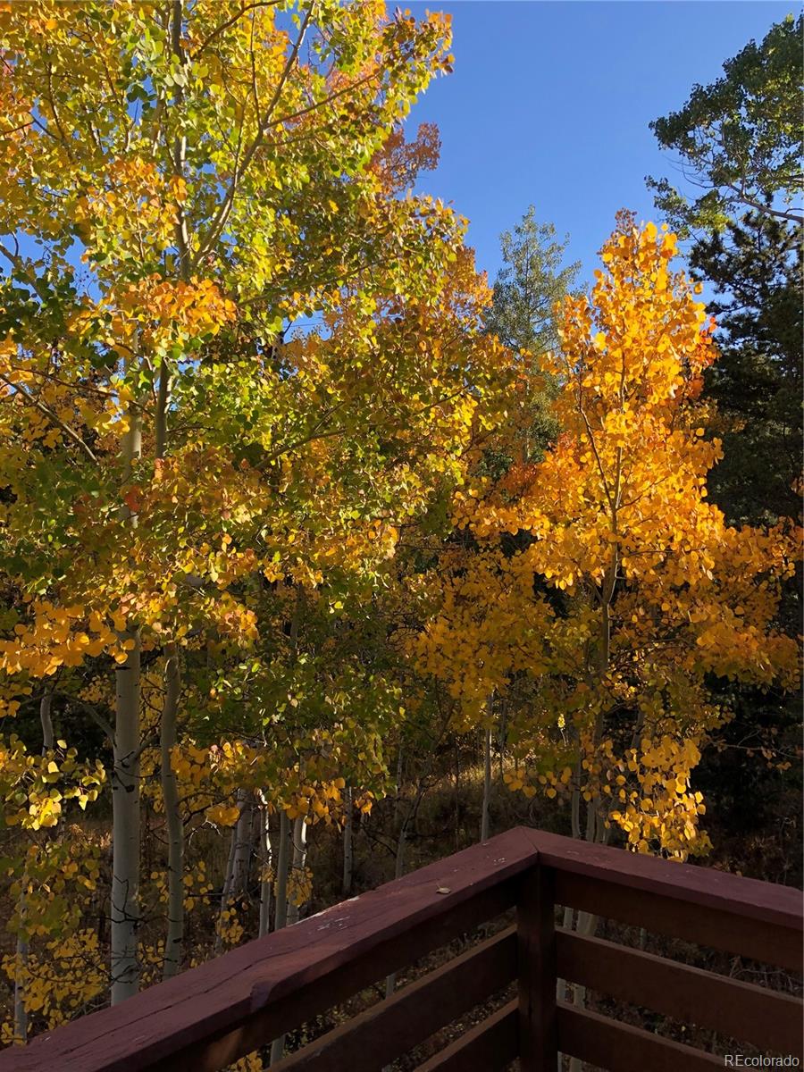 MLS Image #35 for 886  karlann drive,black hawk, Colorado