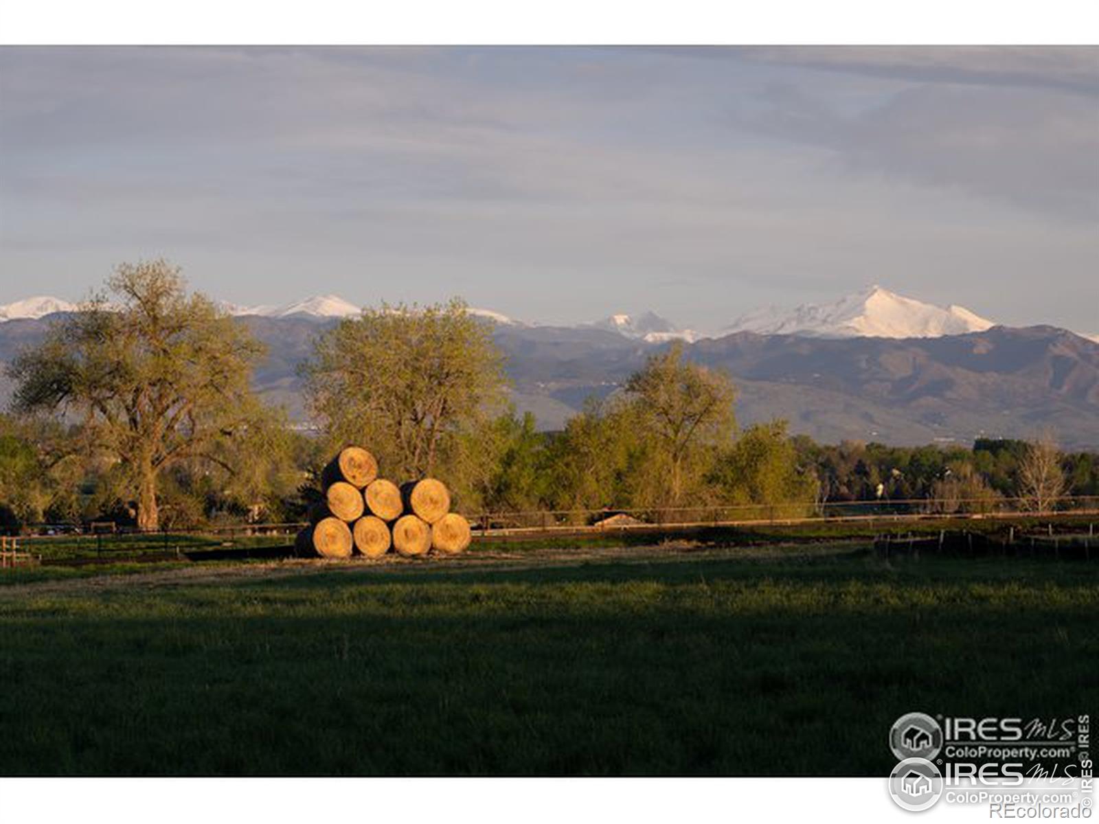 MLS Image #4 for 831  latigo loop,lafayette, Colorado