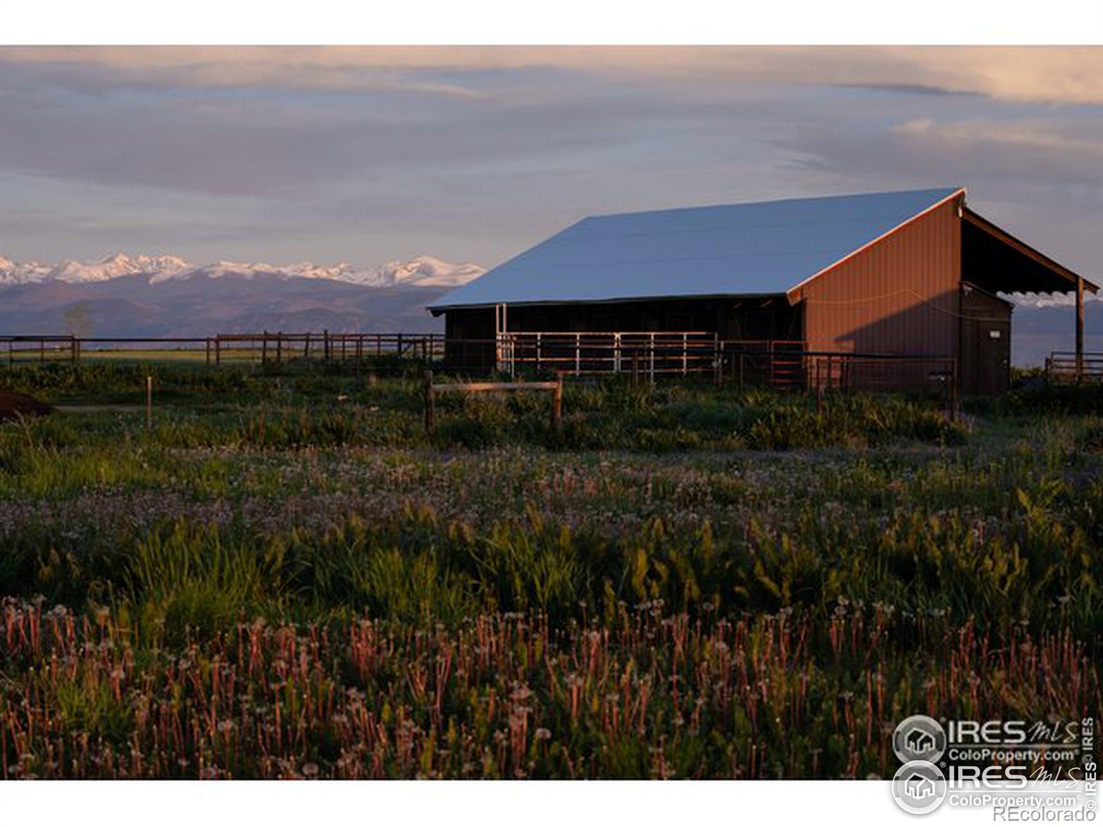 MLS Image #5 for 831  latigo loop,lafayette, Colorado