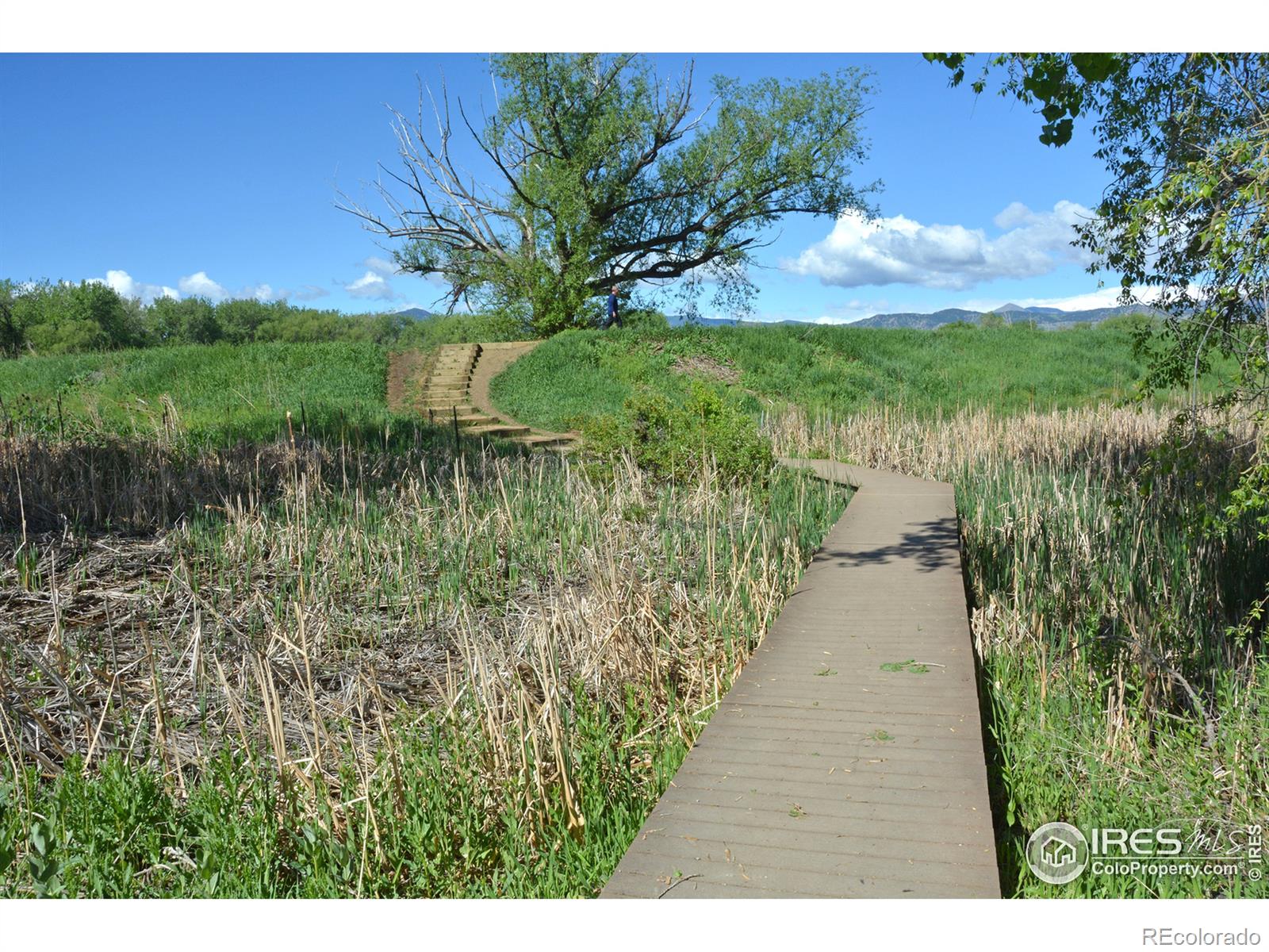 MLS Image #37 for 4985  twin lakes road,boulder, Colorado