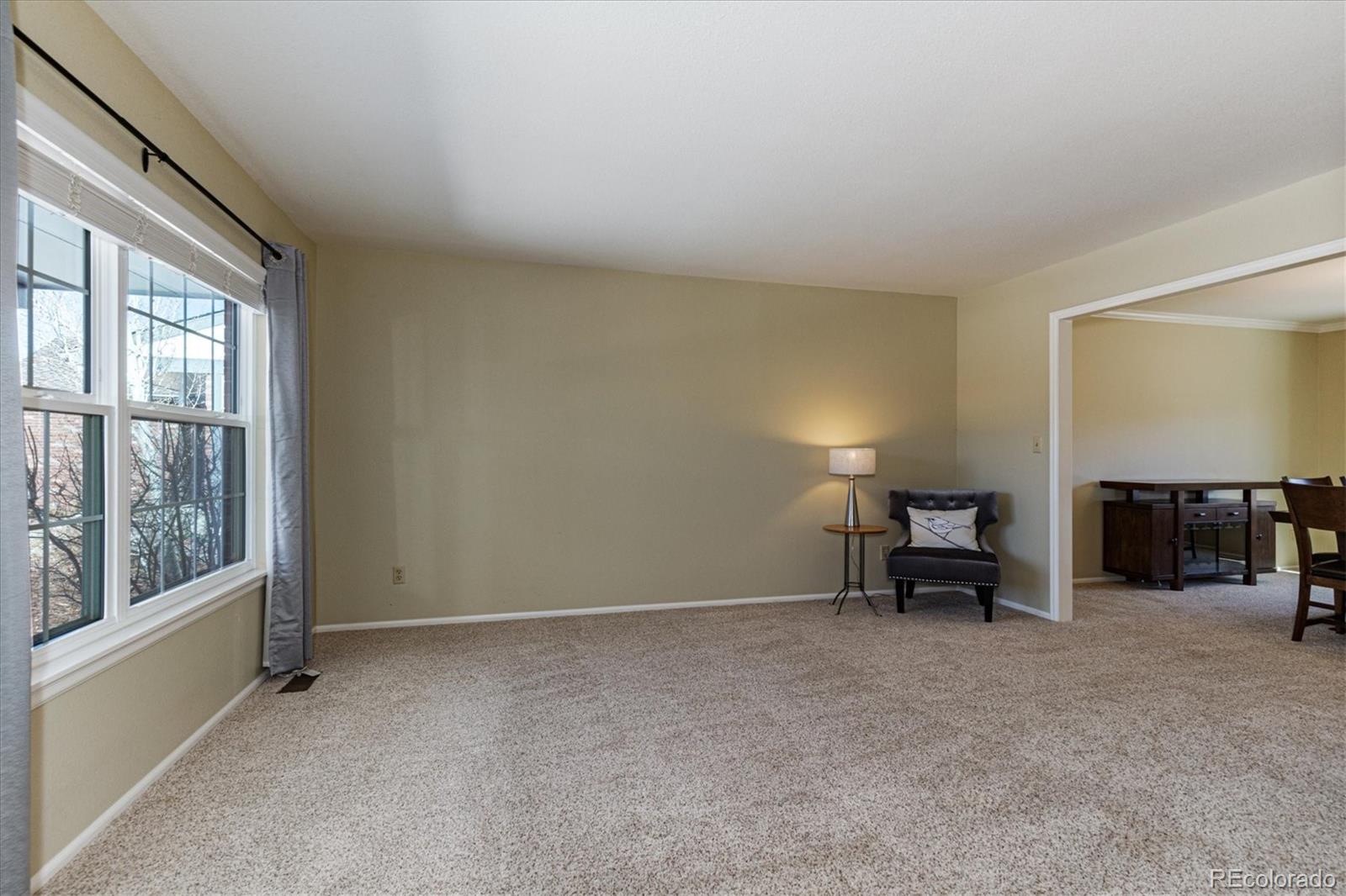 MLS Image #8 for 8882  sundrop way,highlands ranch, Colorado
