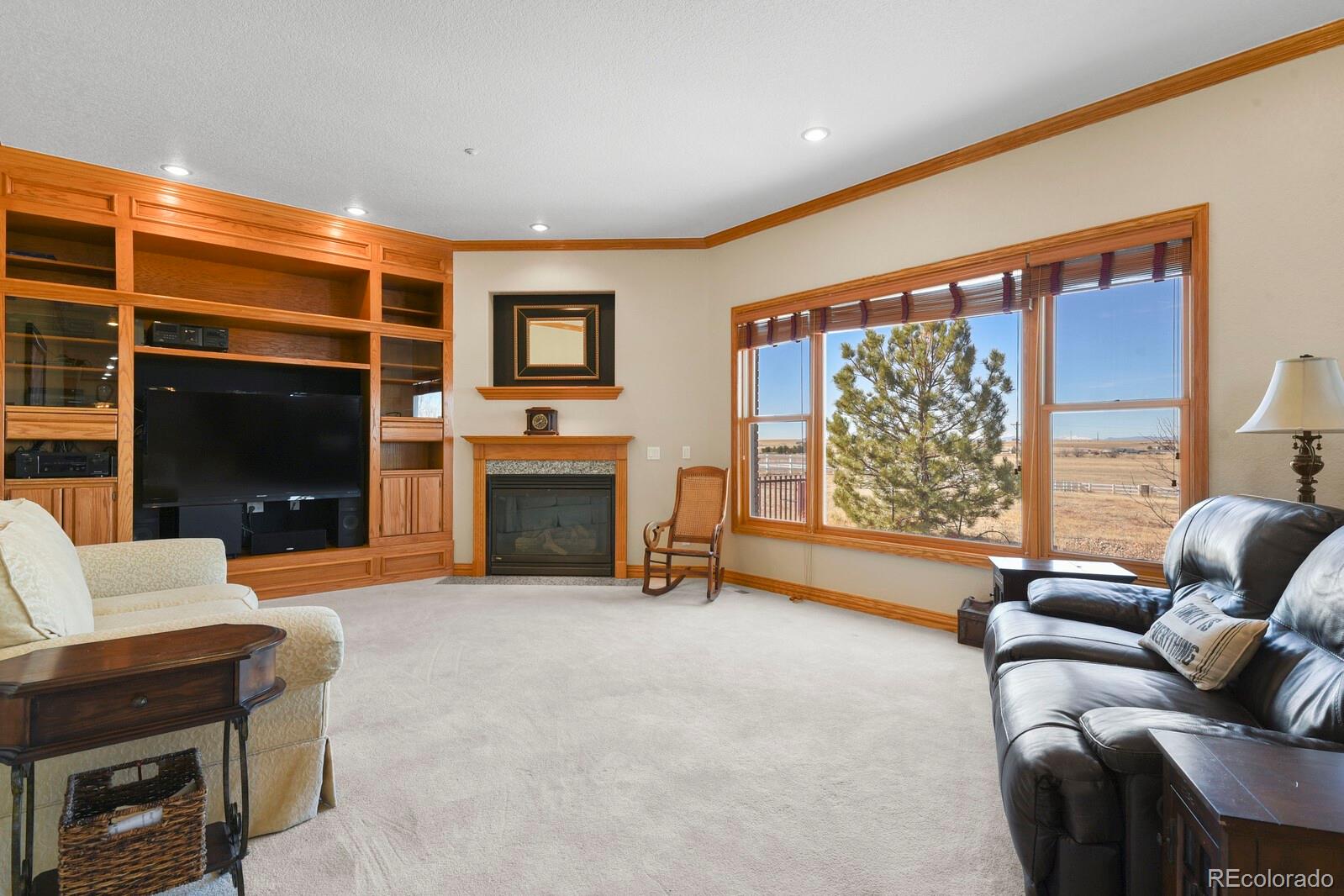 MLS Image #11 for 14595 n maywood court,brighton, Colorado