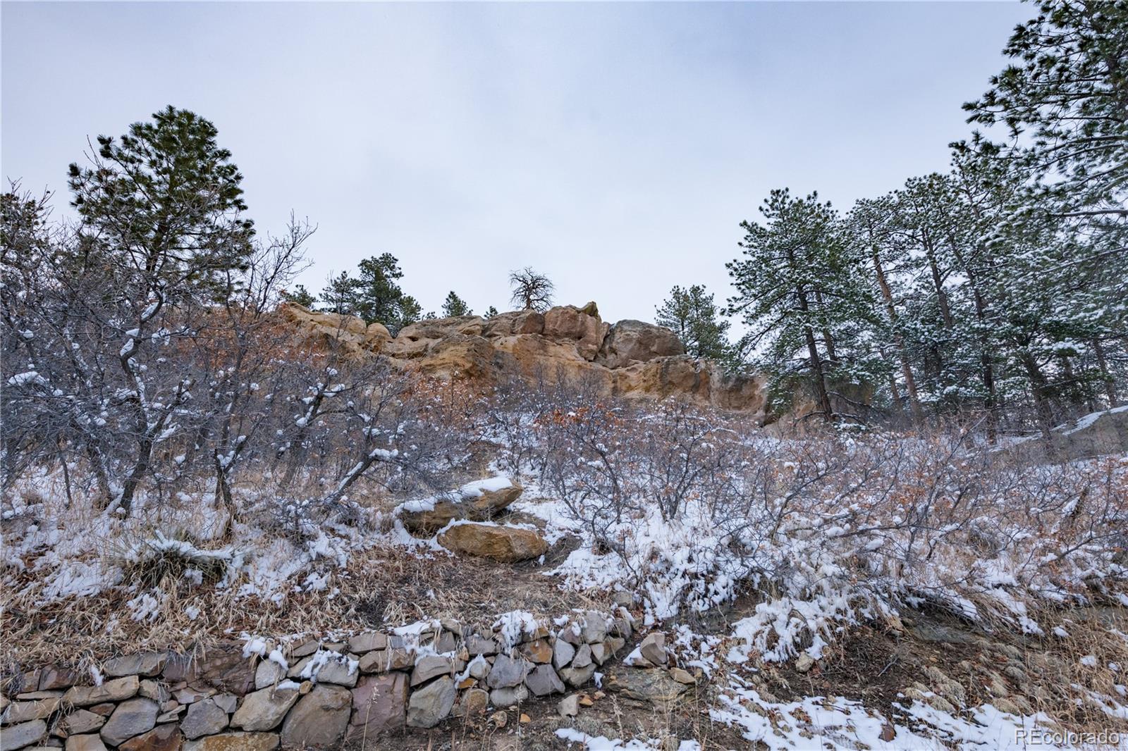 MLS Image #19 for 5000 s perry park road,sedalia, Colorado