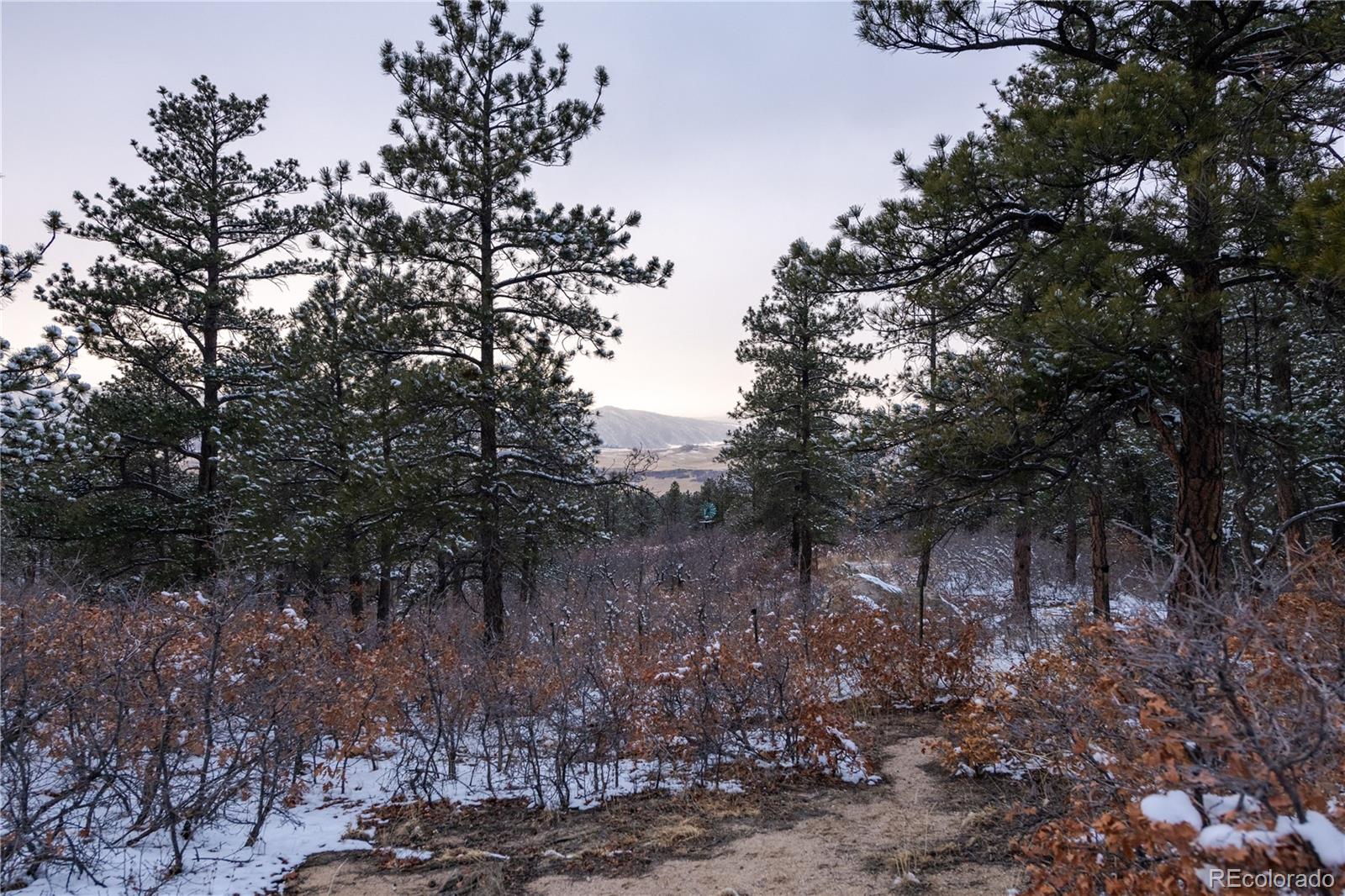 MLS Image #26 for 5000 s perry park road,sedalia, Colorado