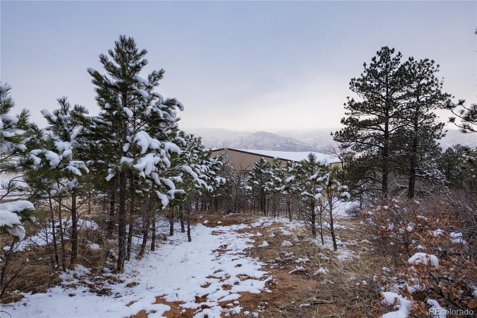 MLS Image #27 for 5000 s perry park road,sedalia, Colorado