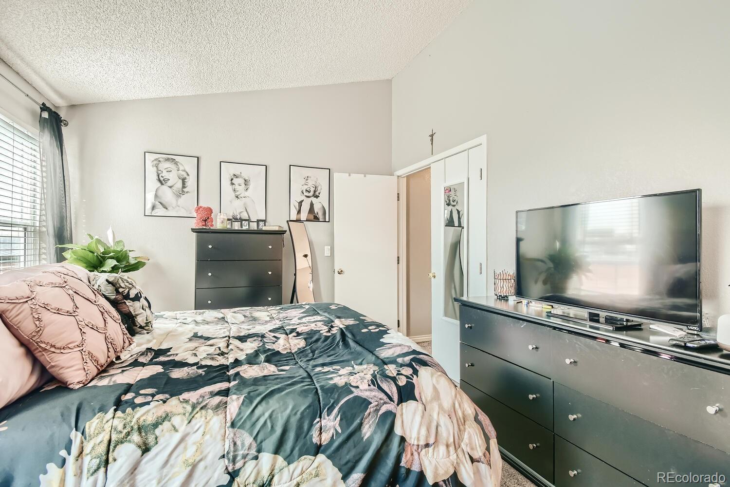 MLS Image #12 for 2469  devonshire court,denver, Colorado