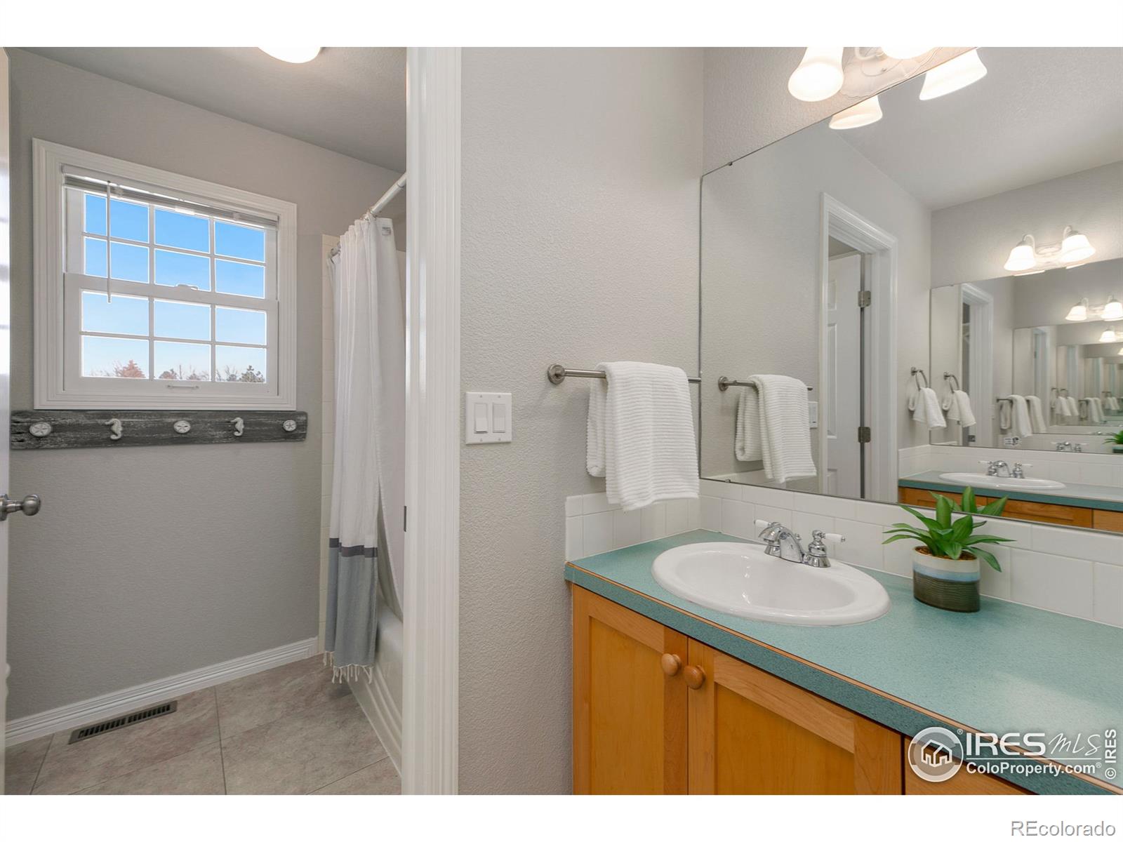 MLS Image #27 for 2518  mckeag court,fort collins, Colorado