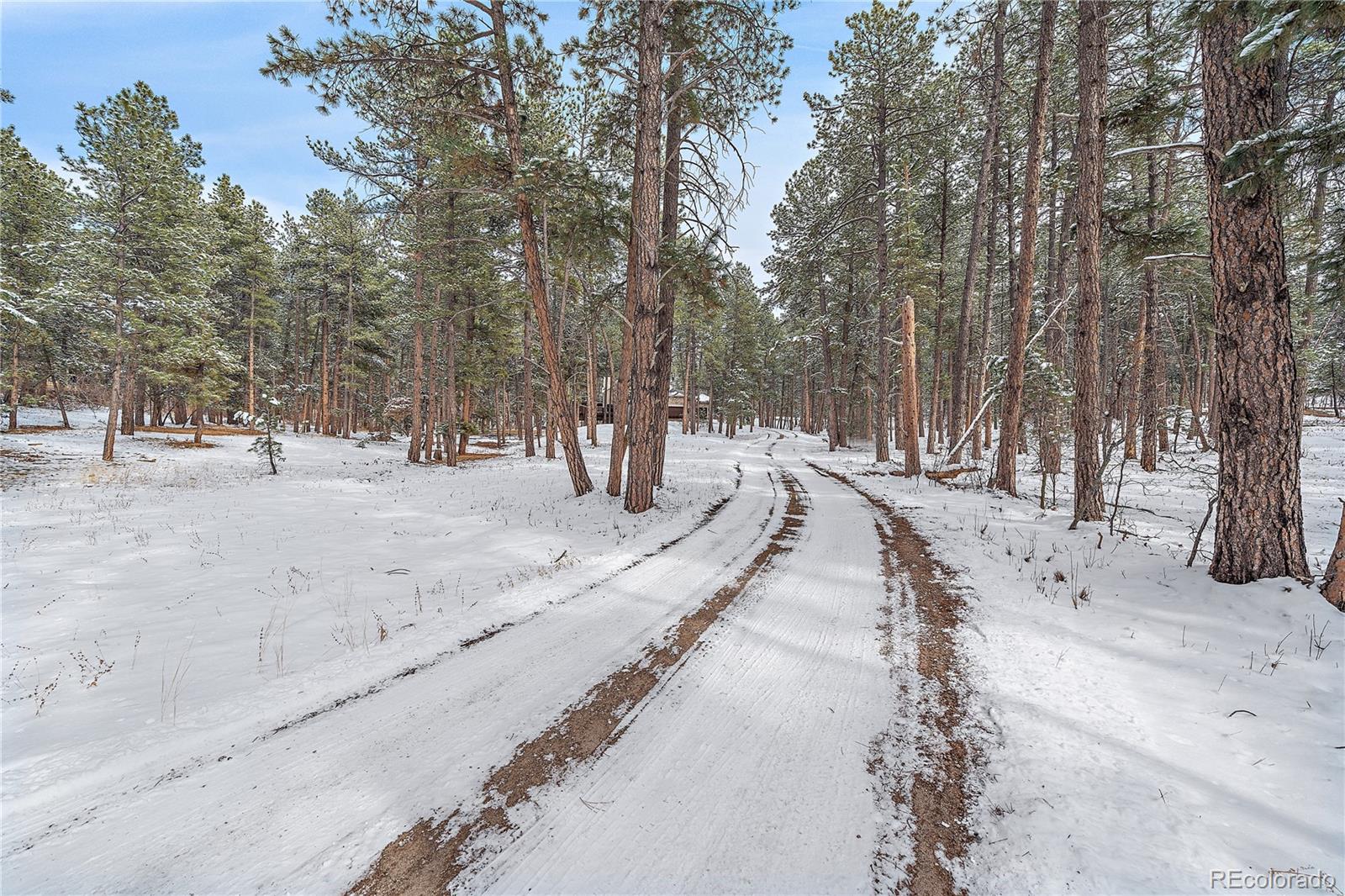 MLS Image #1 for 1522  old sequoia court,franktown, Colorado
