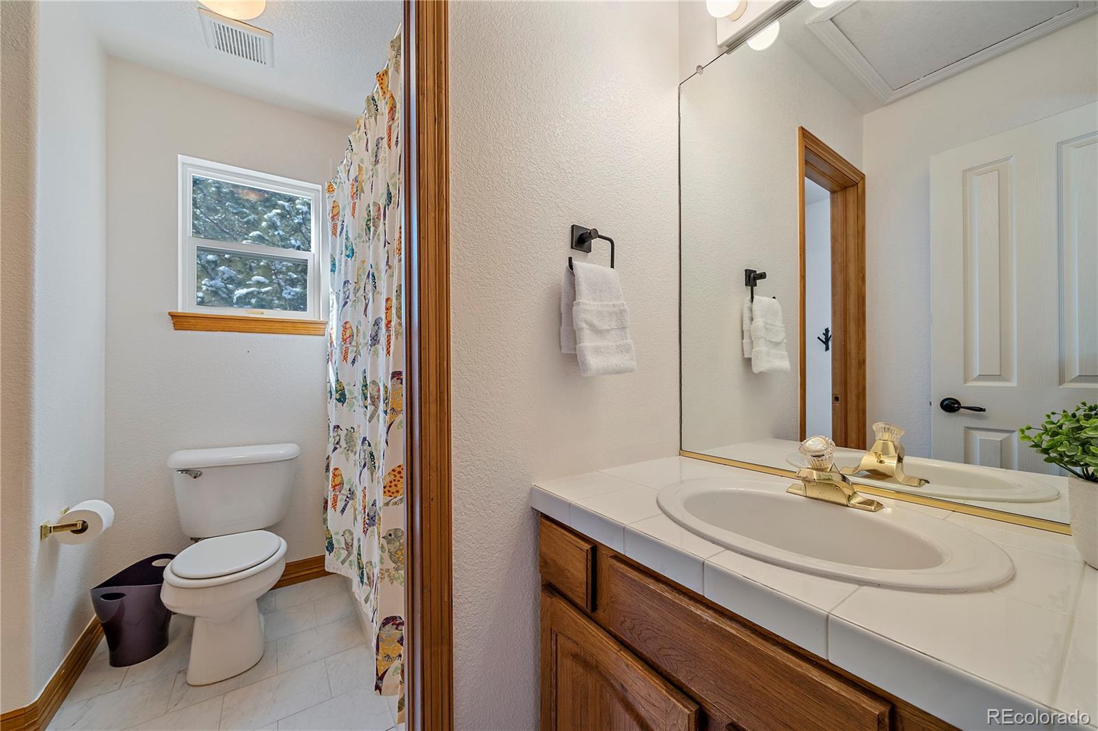 MLS Image #25 for 1522  old sequoia court,franktown, Colorado