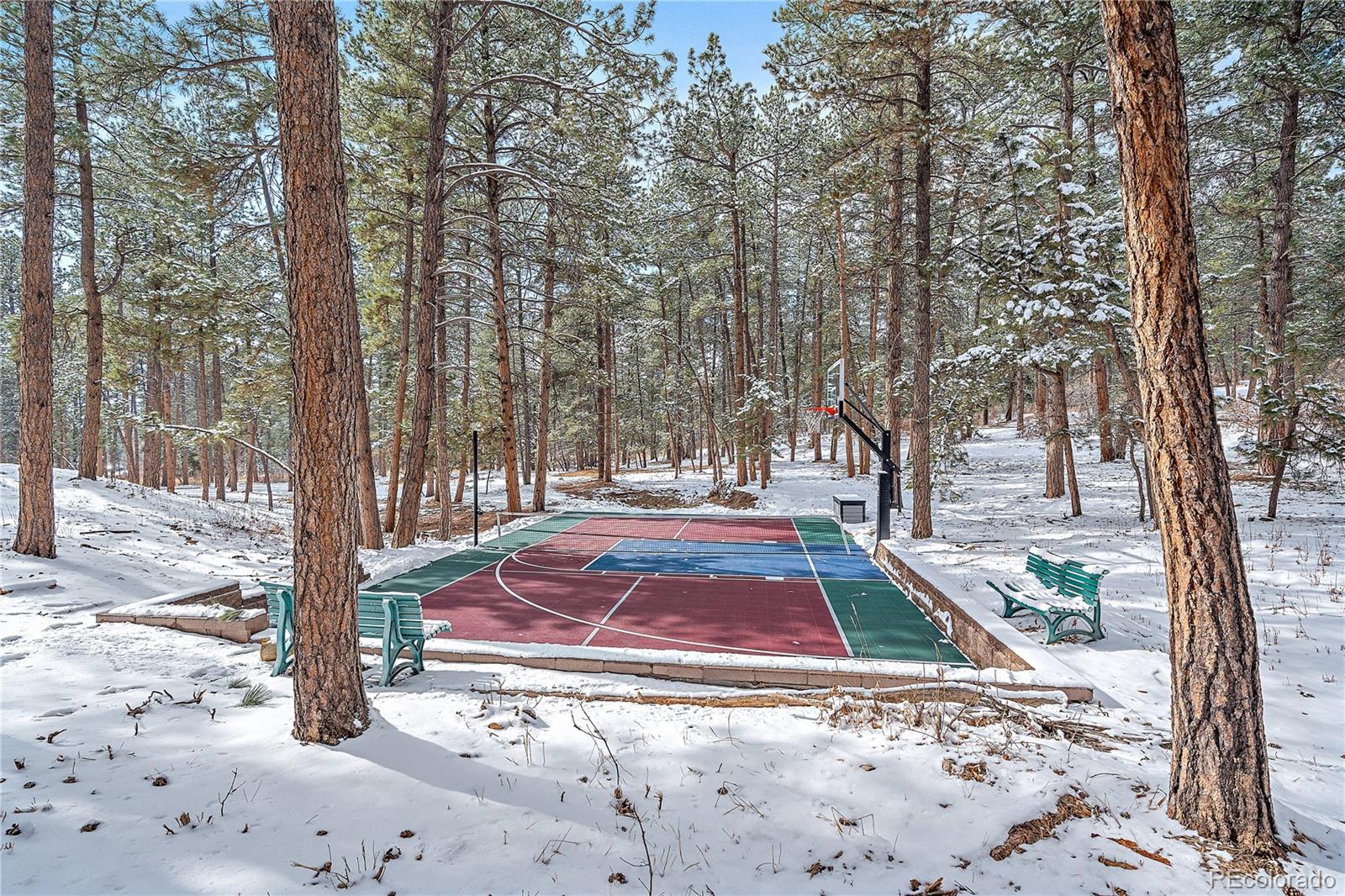 MLS Image #37 for 1522  old sequoia court,franktown, Colorado