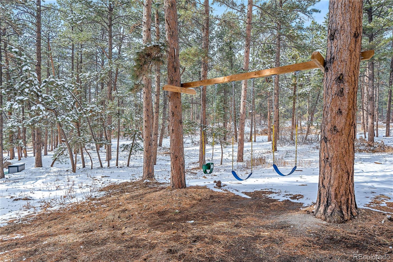 MLS Image #38 for 1522  old sequoia court,franktown, Colorado