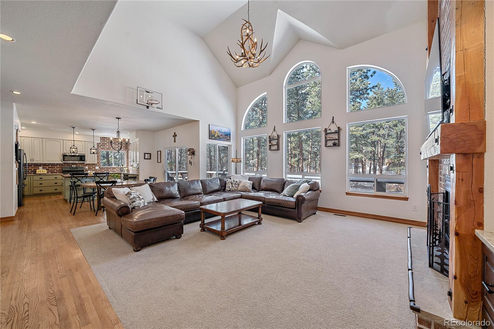MLS Image #4 for 1522  old sequoia court,franktown, Colorado