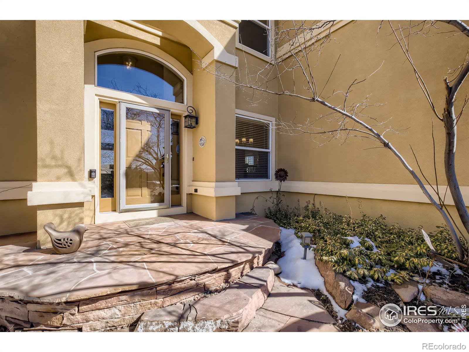 MLS Image #2 for 1207  northview drive,erie, Colorado