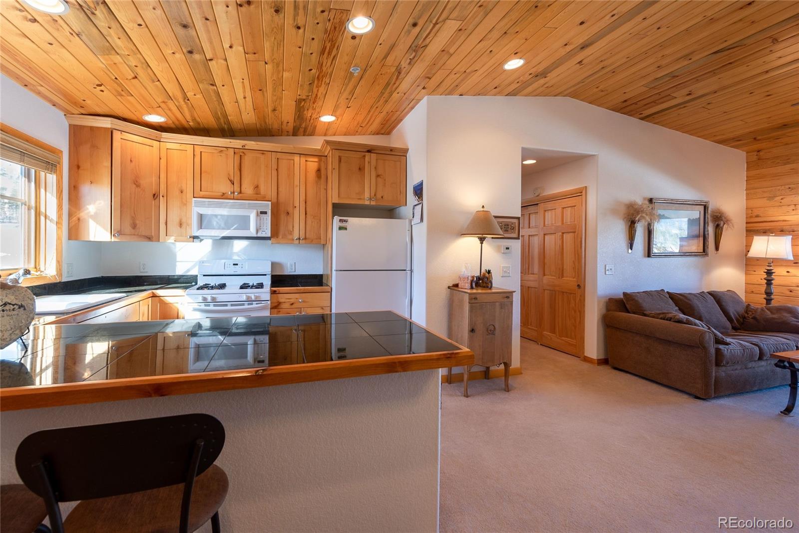 MLS Image #8 for 207  bella vista court ,grand lake, Colorado