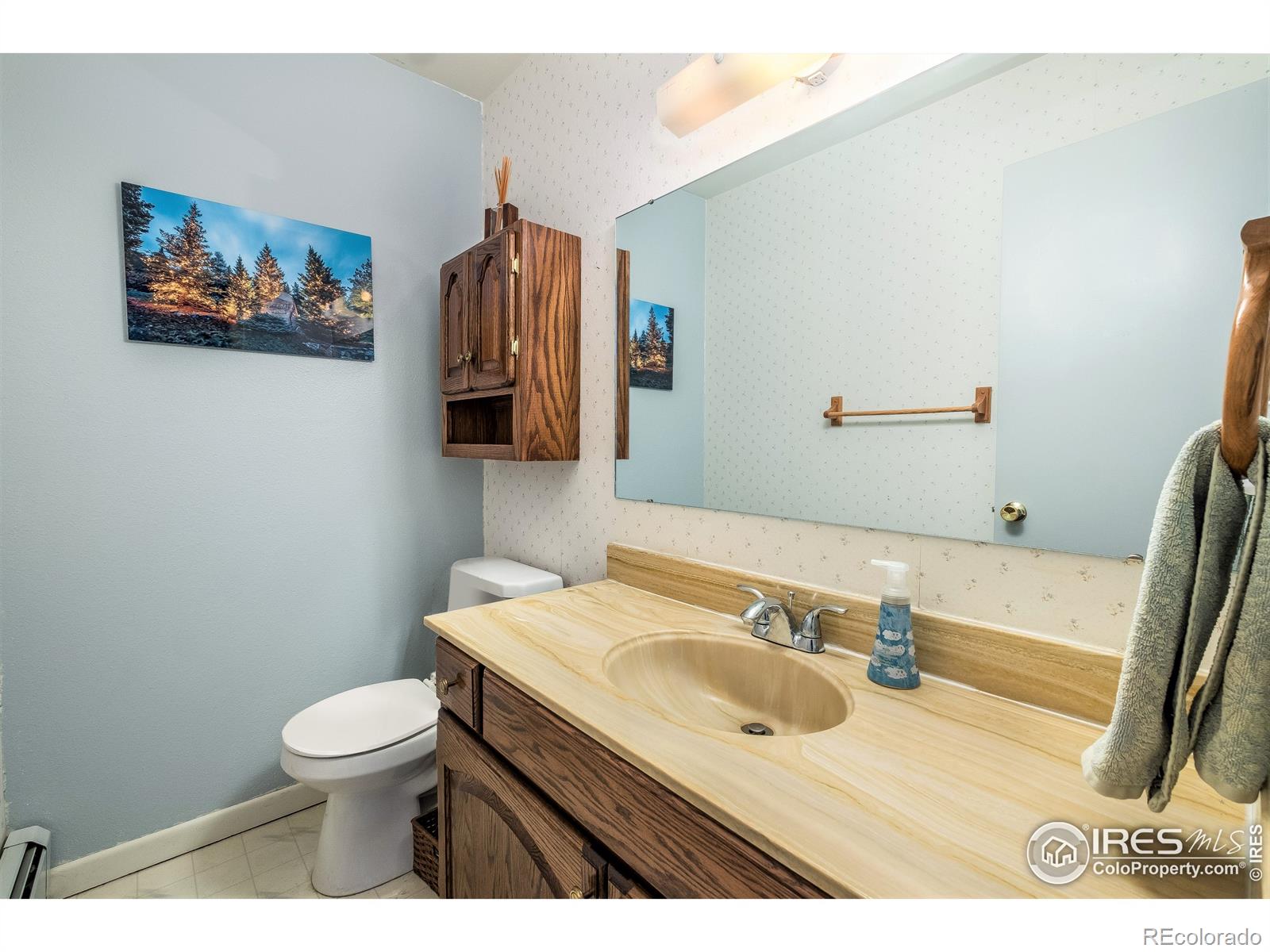 MLS Image #12 for 1229  brook drive,estes park, Colorado