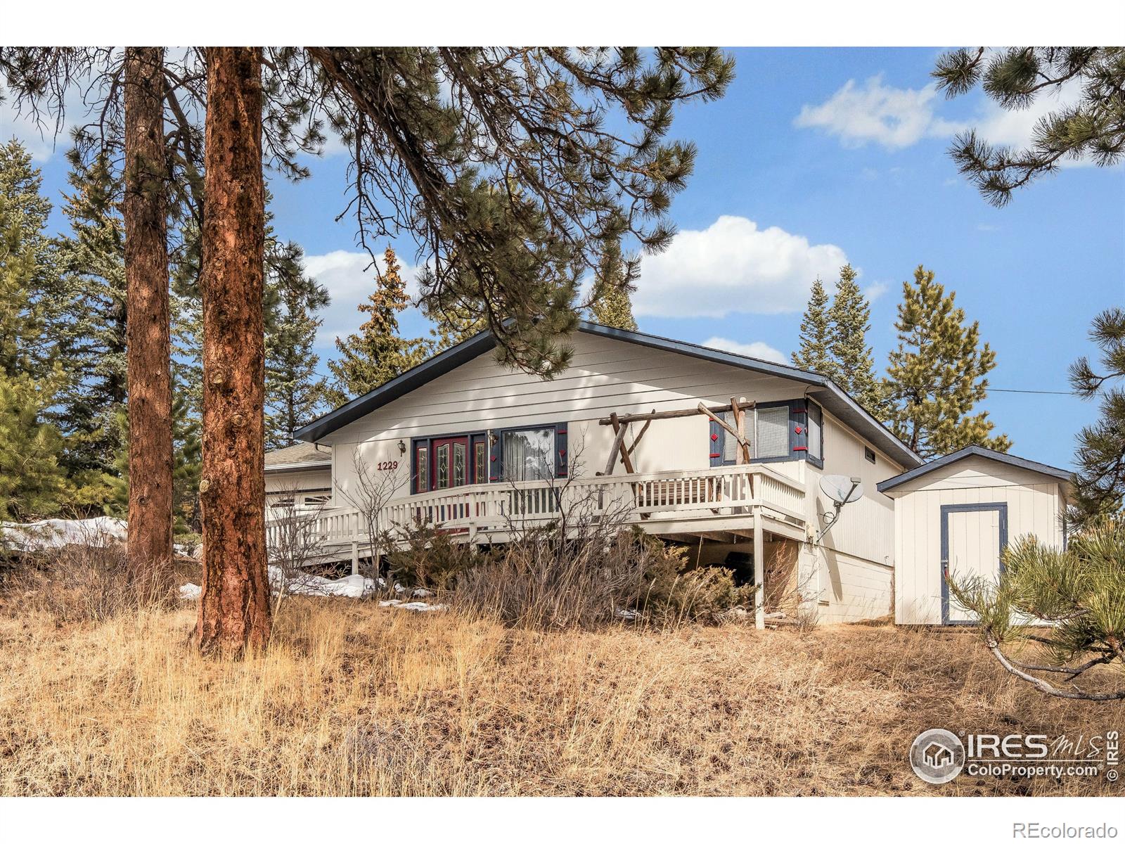 MLS Image #2 for 1229  brook drive,estes park, Colorado