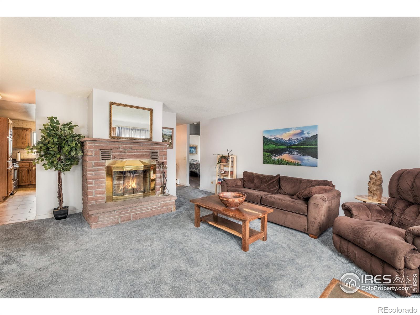 MLS Image #5 for 1229  brook drive,estes park, Colorado