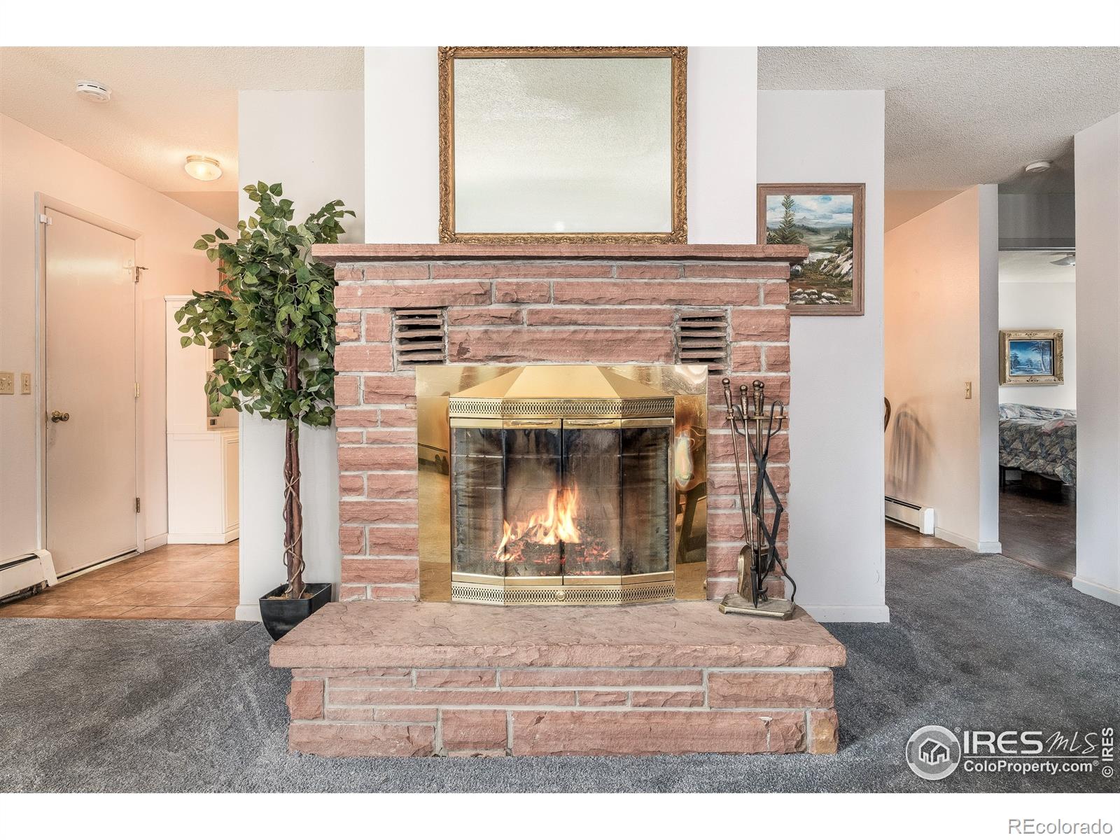MLS Image #6 for 1229  brook drive,estes park, Colorado