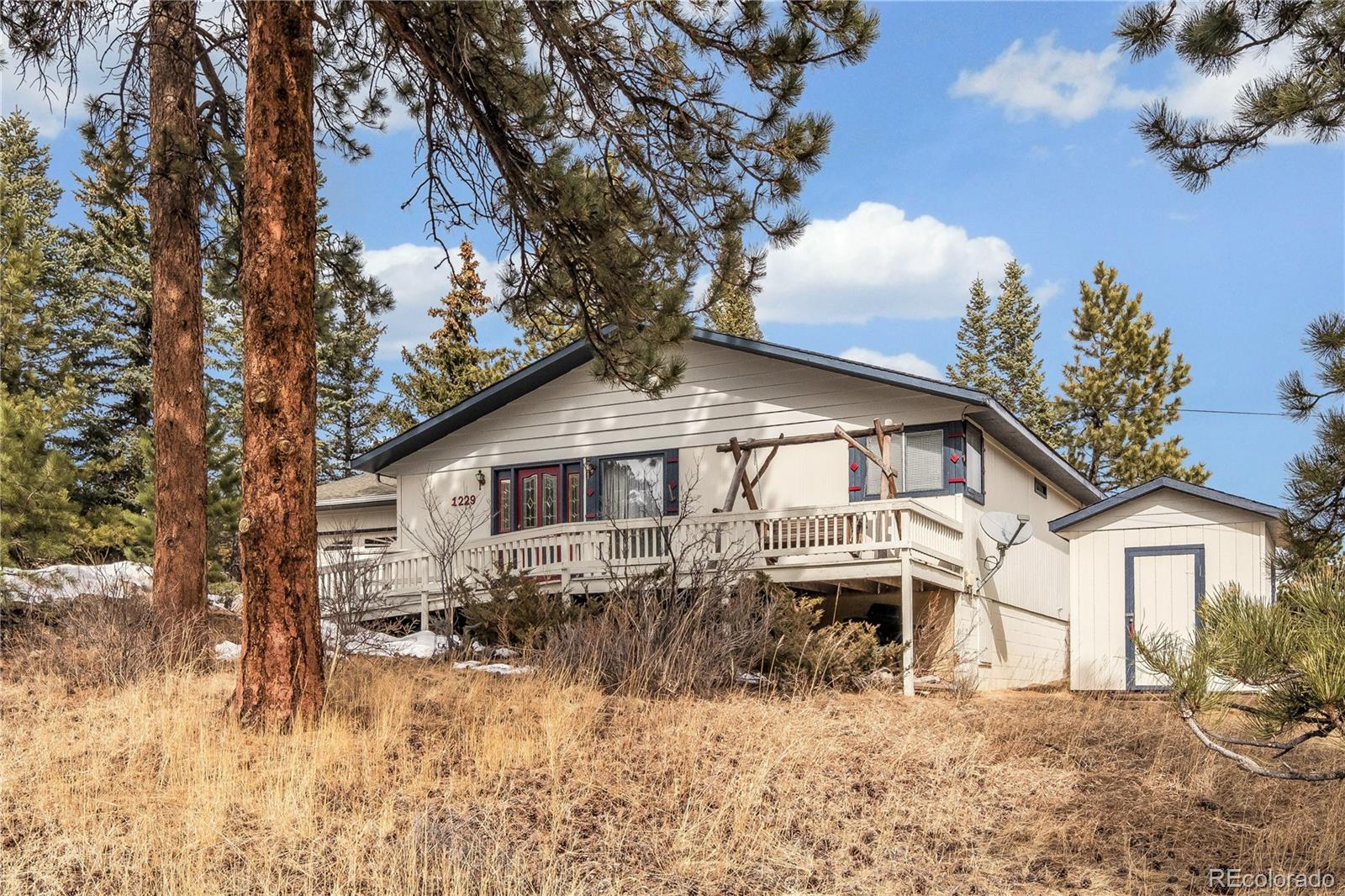 MLS Image #1 for 1229  brook drive,estes park, Colorado