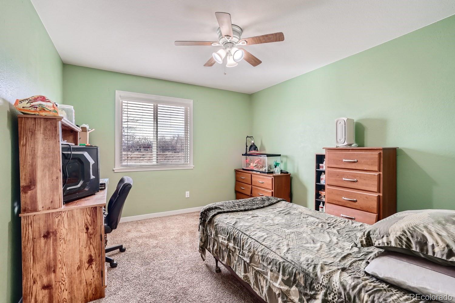 MLS Image #13 for 103  cattail court,mead, Colorado